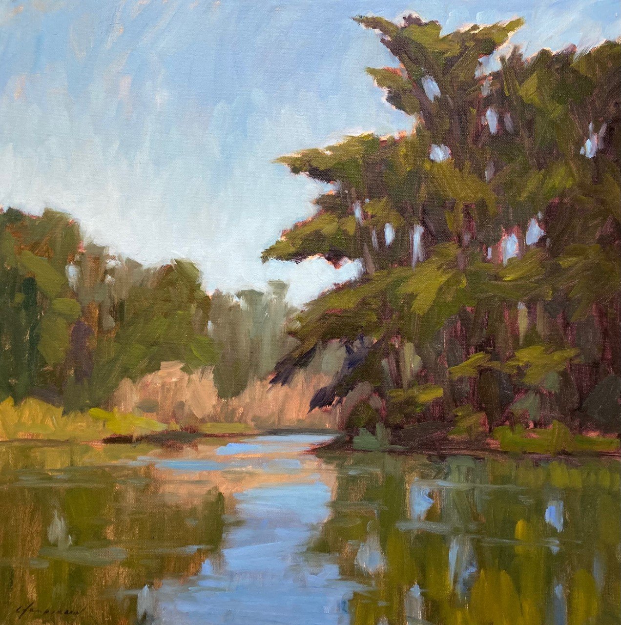 Stow Lake Cypress by Michael Chamberlain