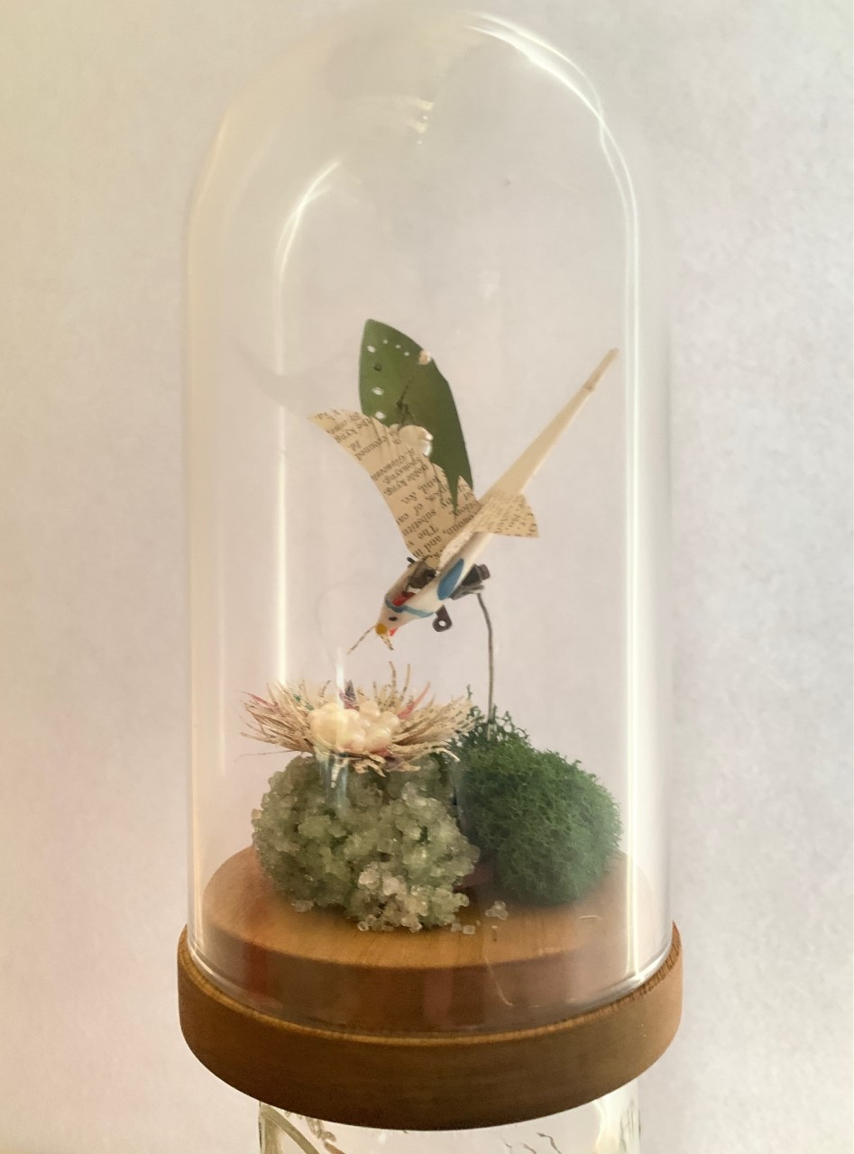 PTraverso-NoBird3.png