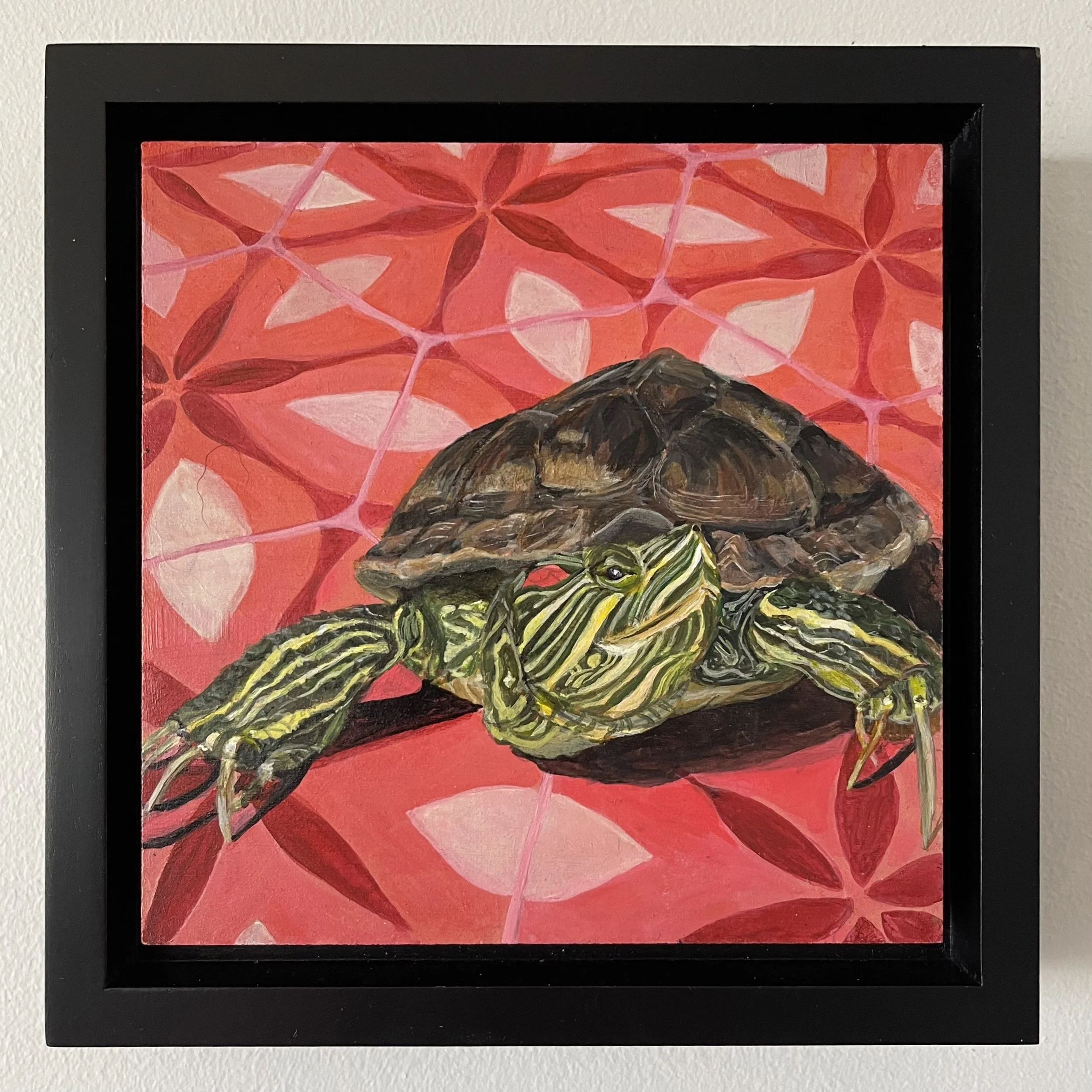 AWindin-Sly Slider Framed.jpg