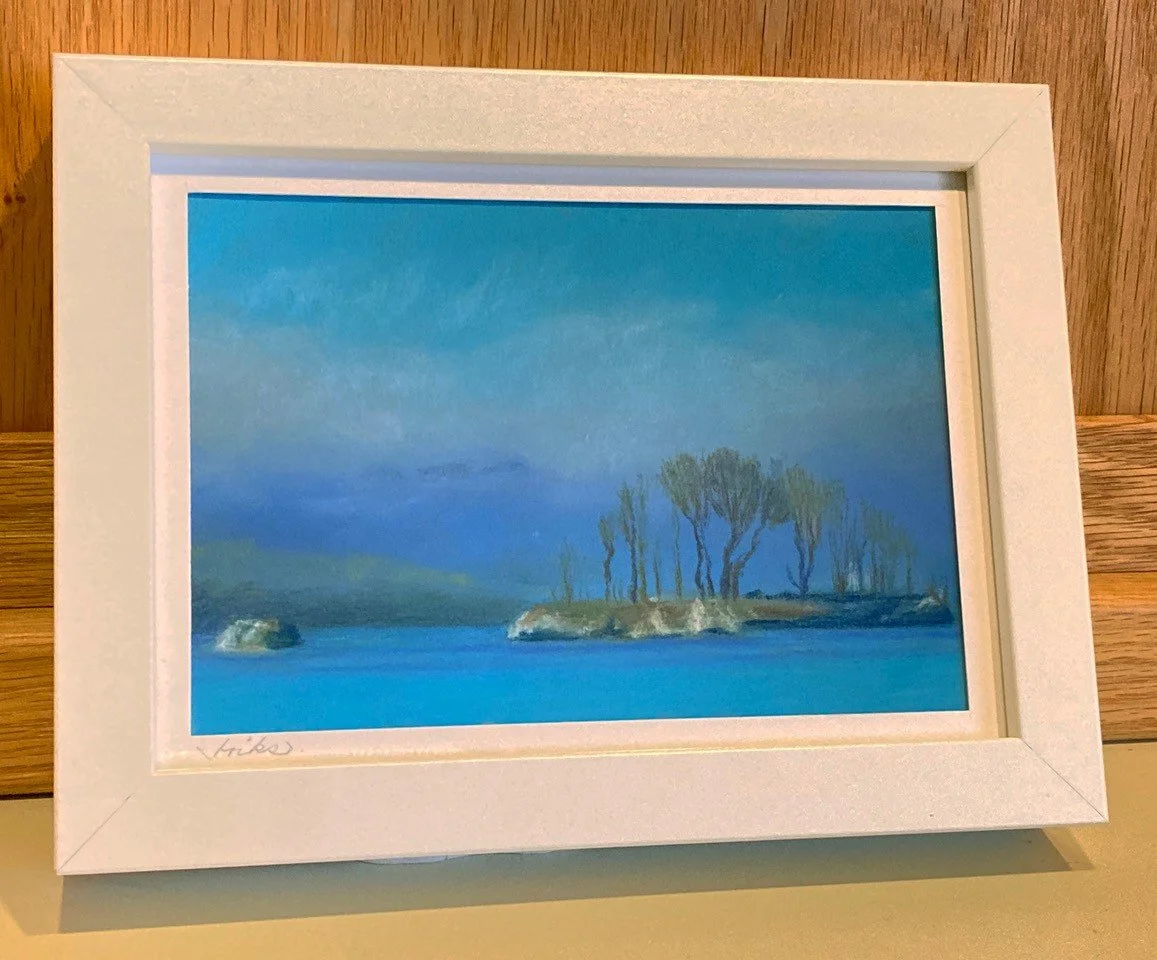BIriks-Hog Island framed.jpg
