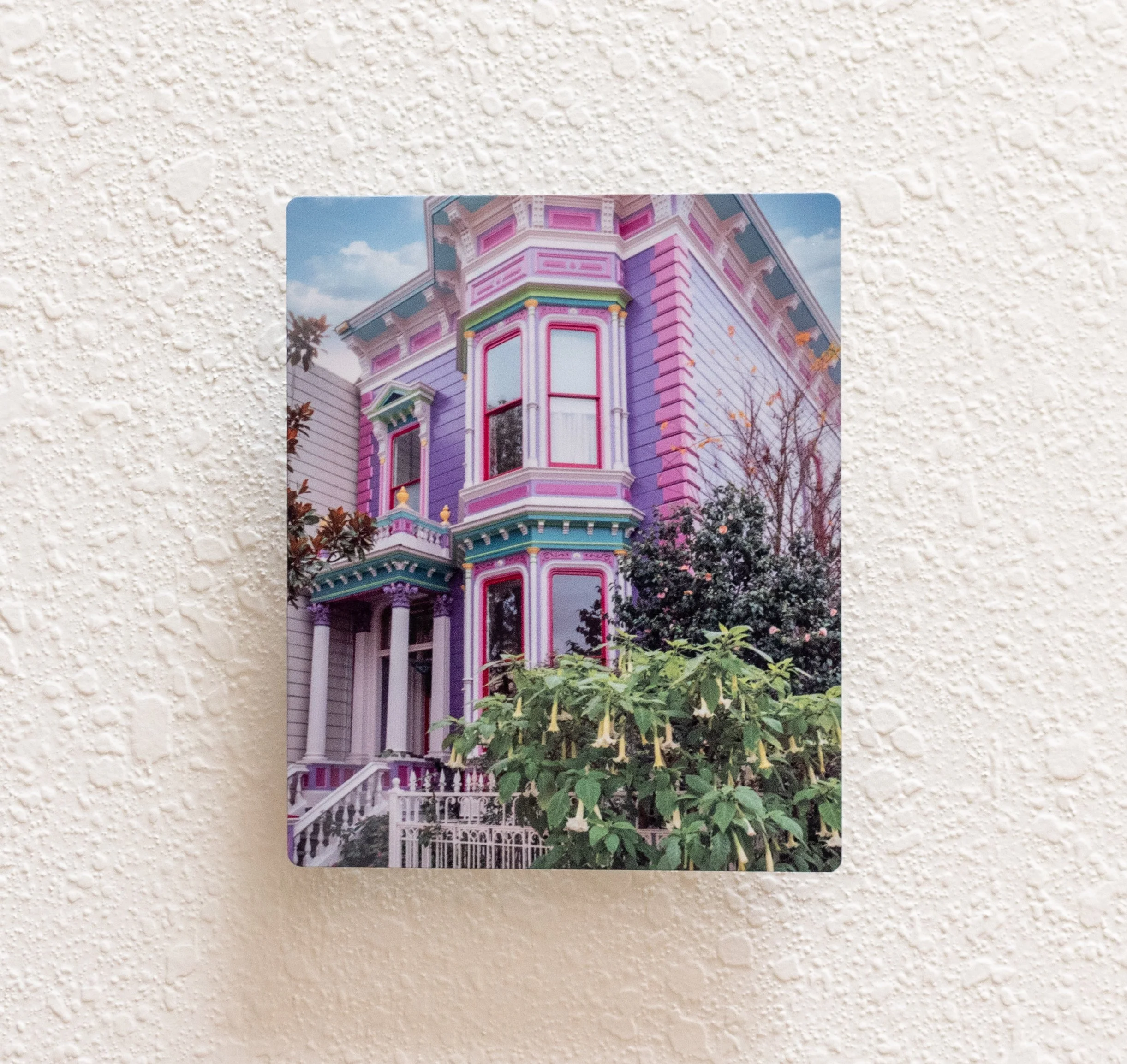 Suz_Lipman_Barbary_Coast_Barbies_Dream_House_Wall.jpg