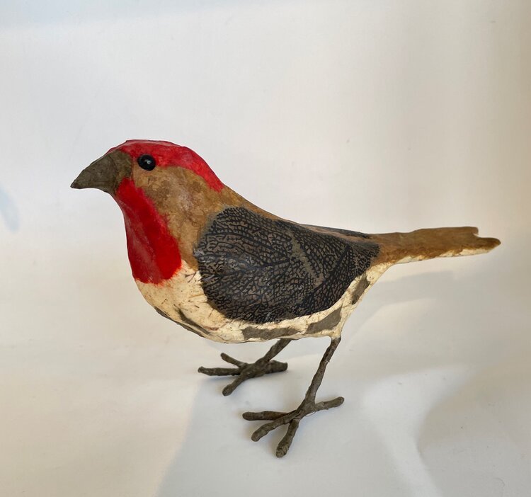 NOverton-HouseFinch.jpg