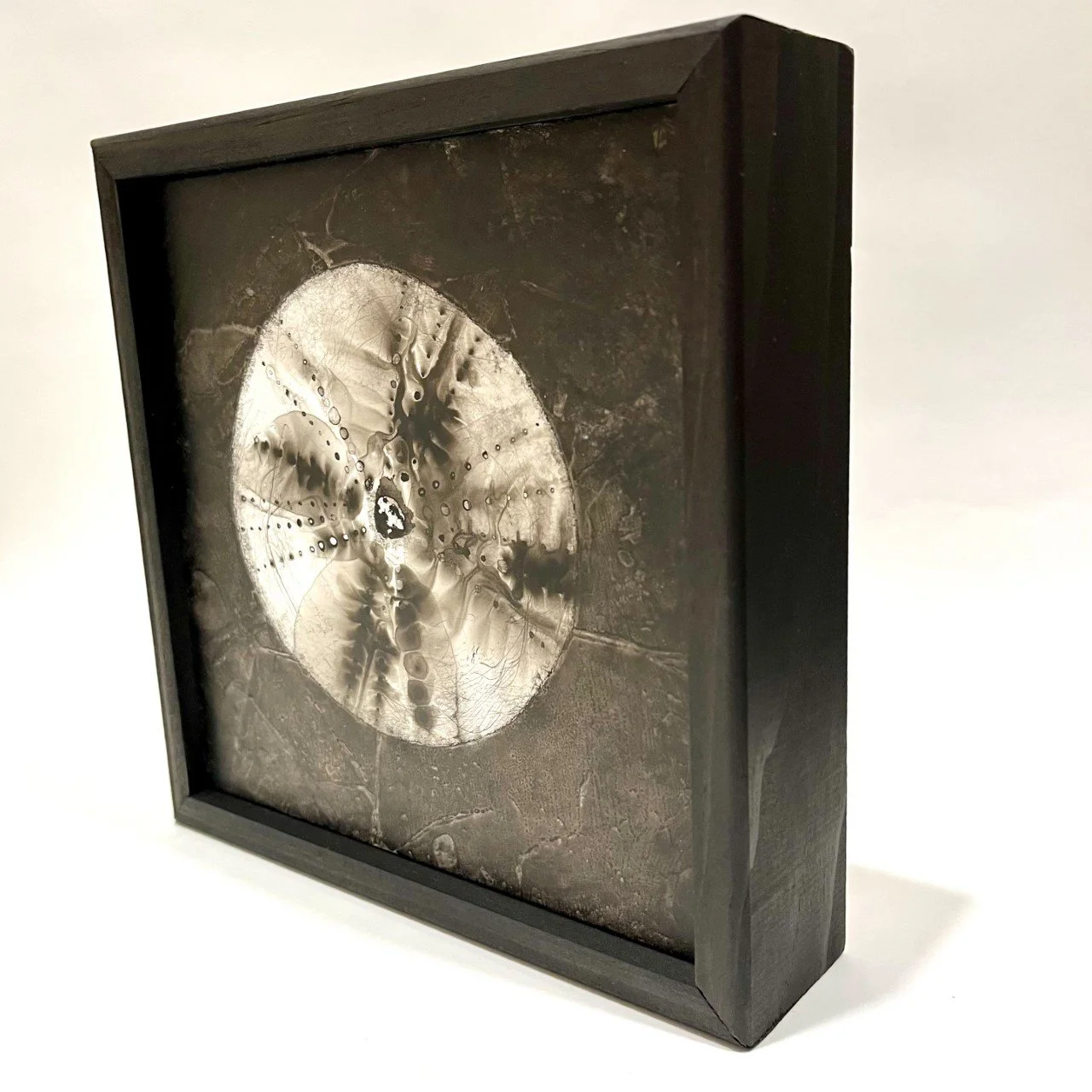PHewett-Shell6-framed.jpg