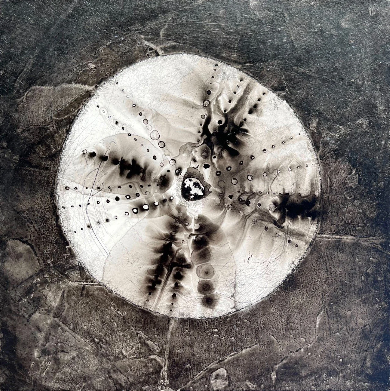 PHewett-Shell6.jpg