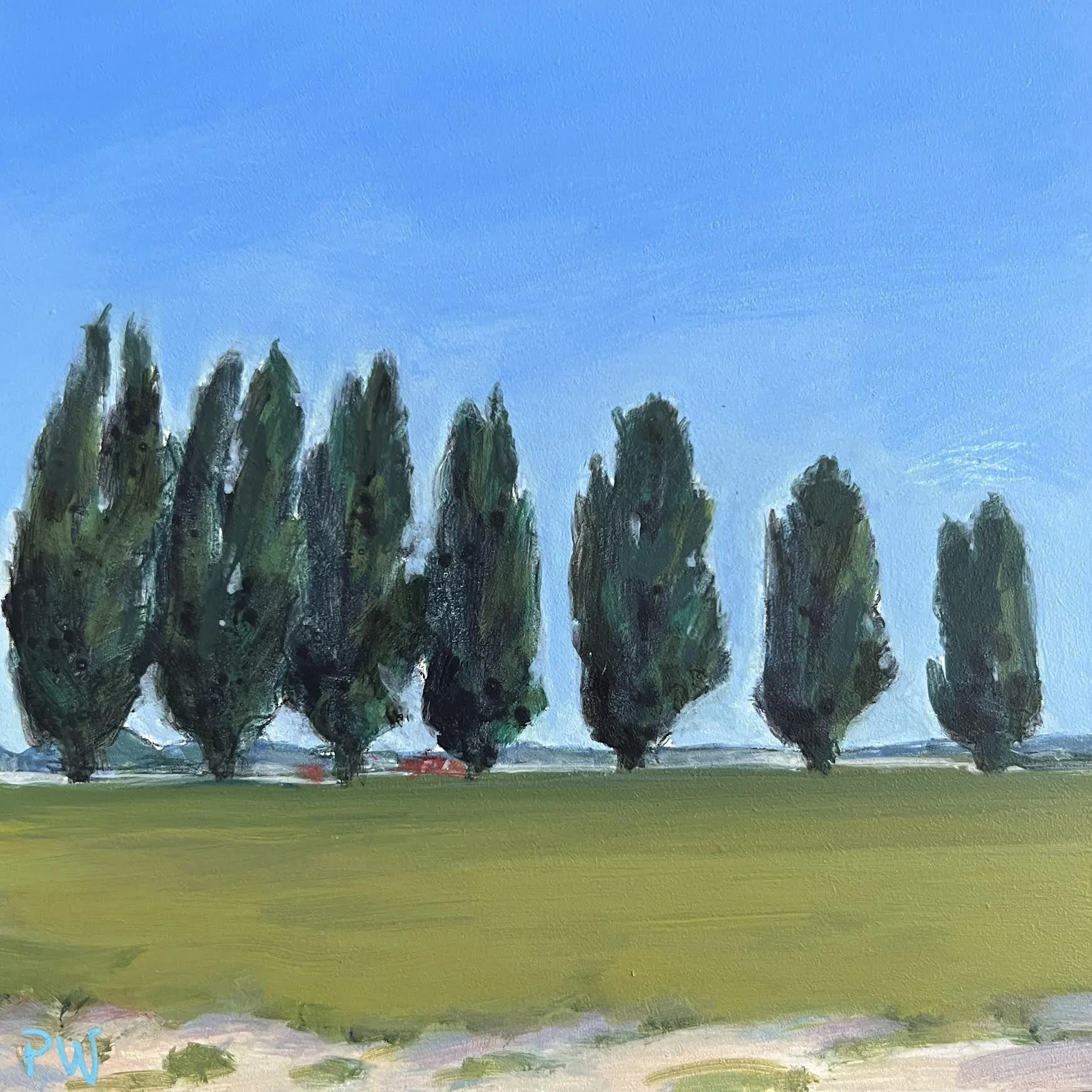 PWachs-Seven Cypress.jpg