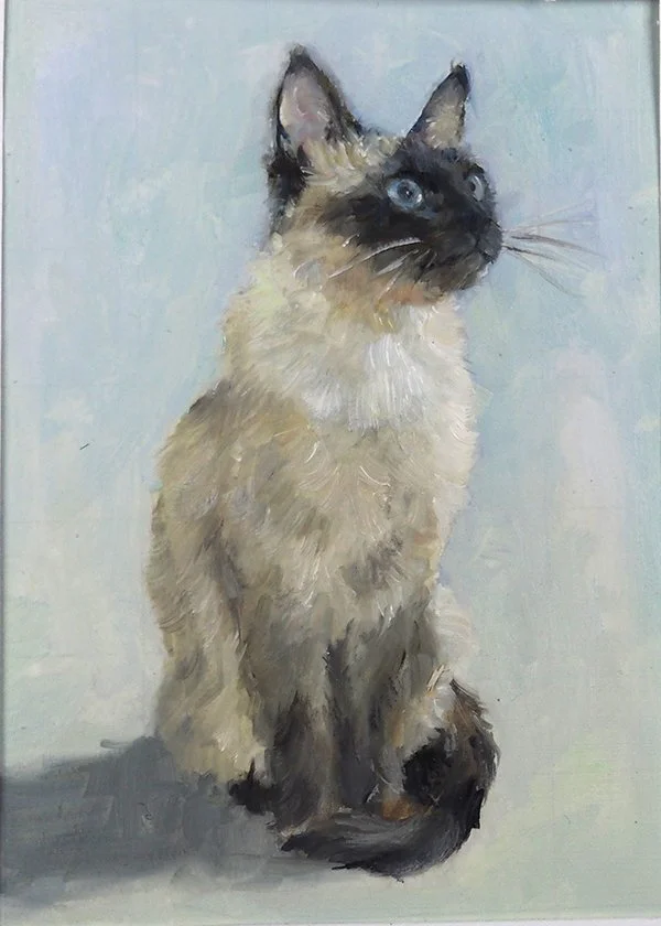 MYee-Pyewacket 5x7.jpg