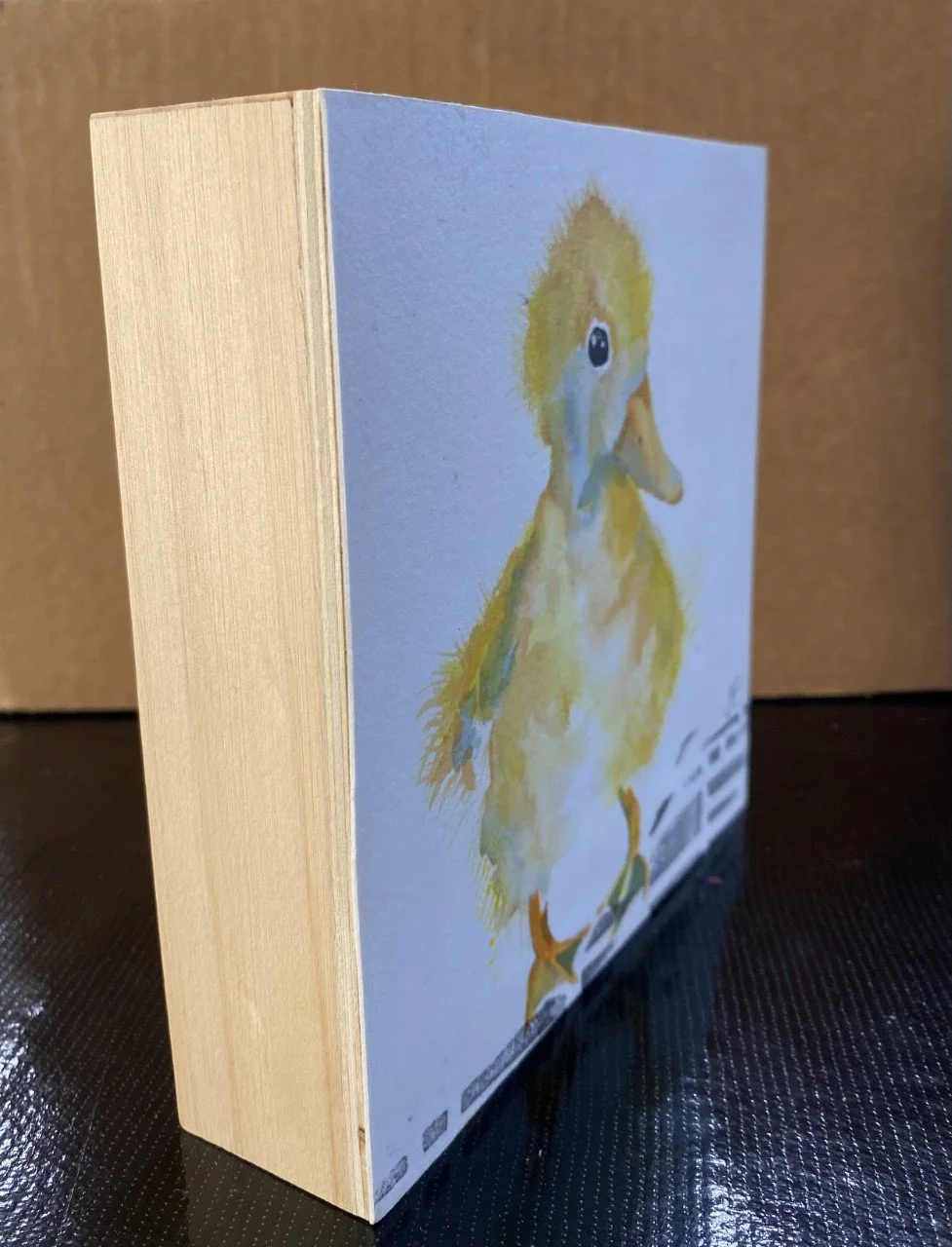 JFerguson-NewArrival-side.jpg