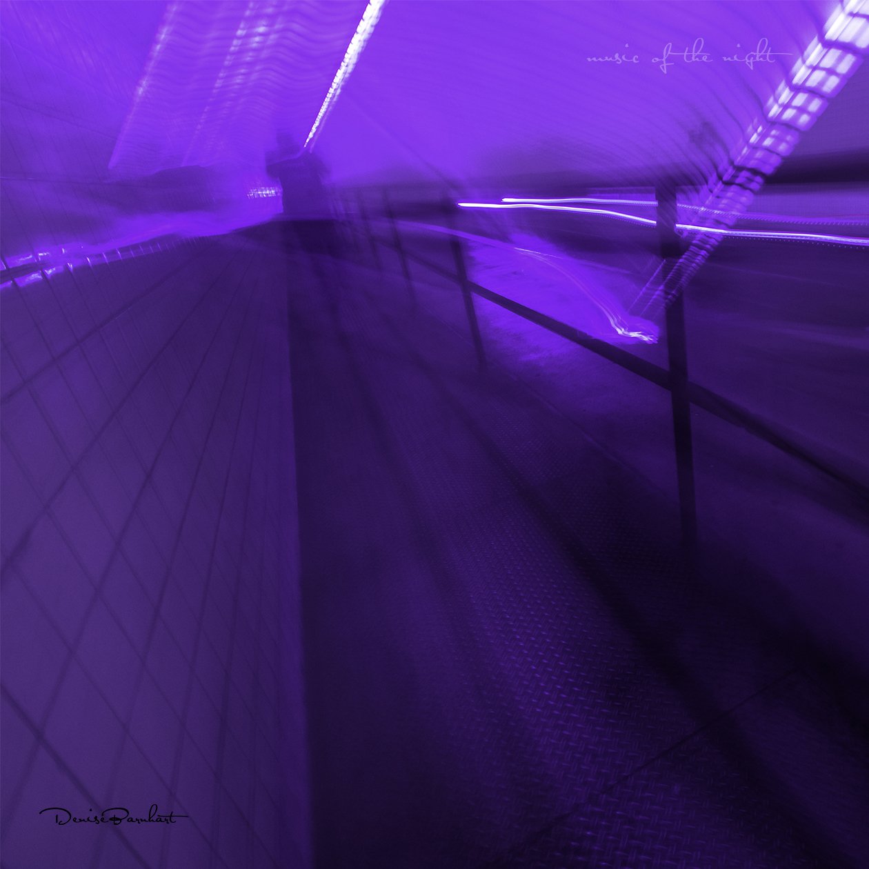 DBarnhart_Music of the night.jpg