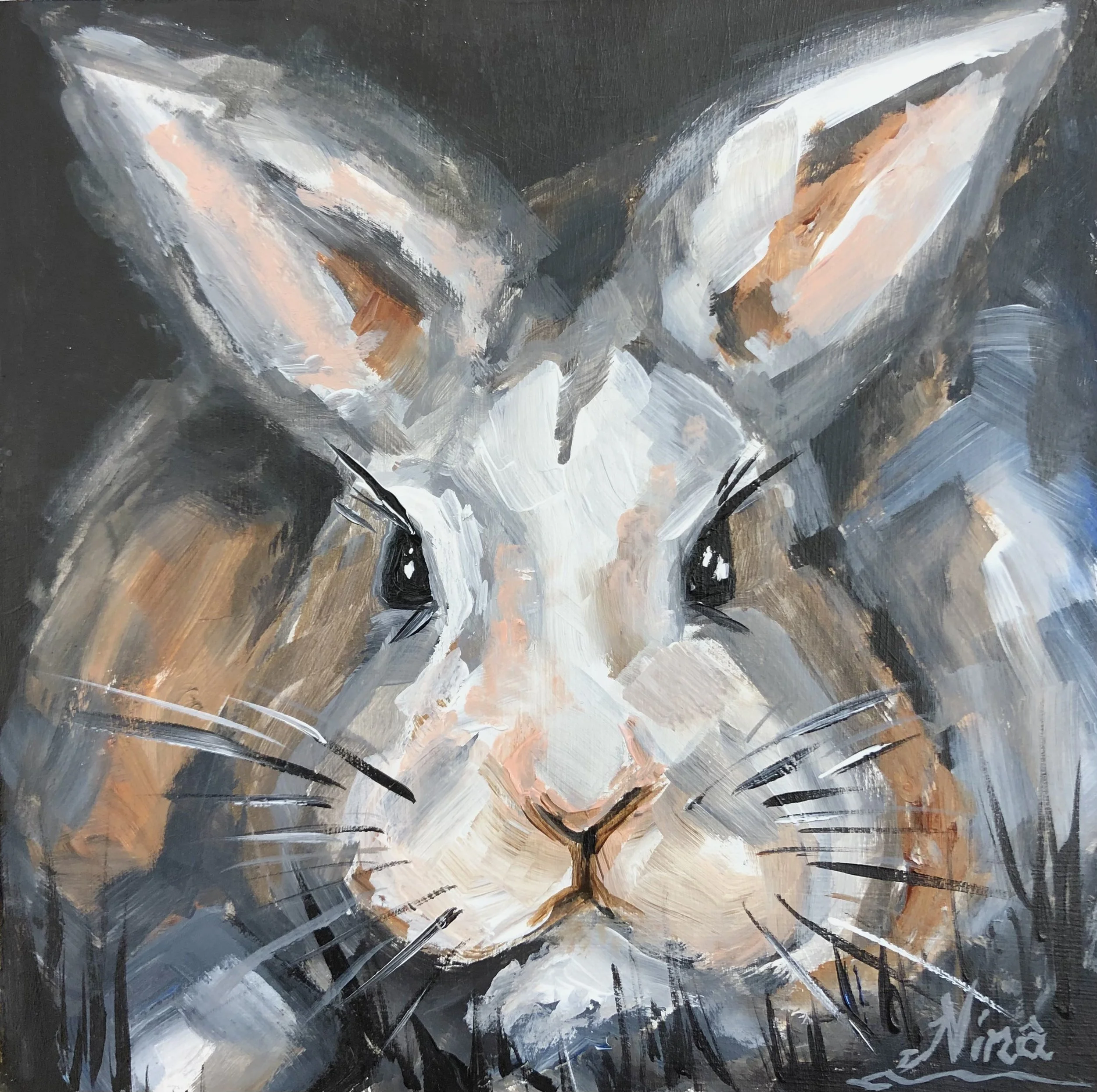 NFabunmi-BunnyatNight.jpg