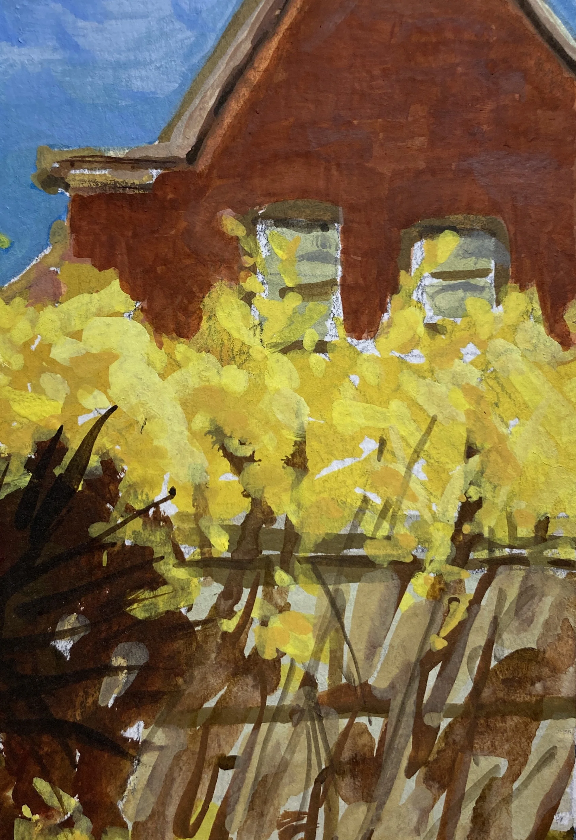 LRLazarus-Forsythias in Bloom.jpg