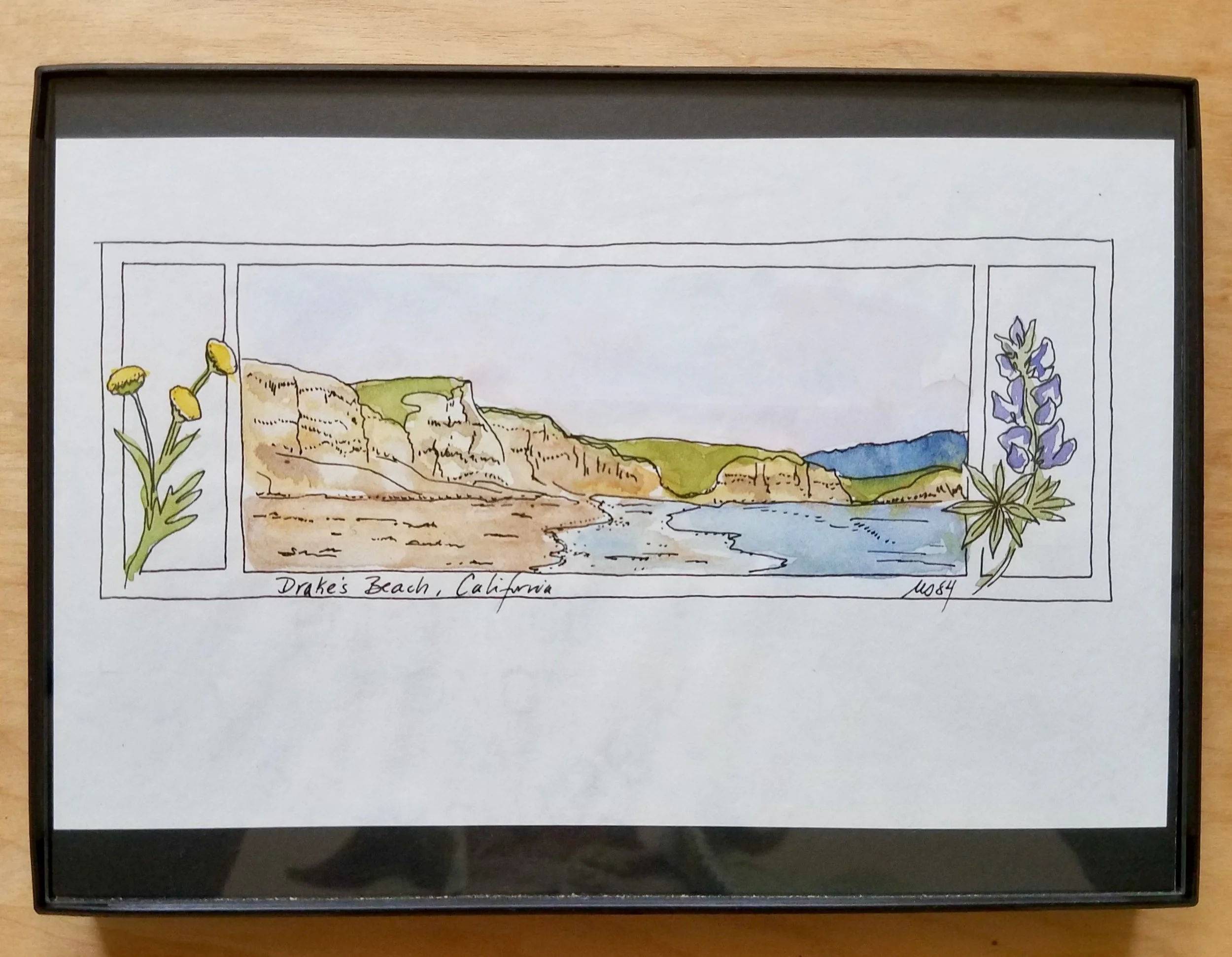 MSchwalbenberg-Pena-DrakesBeach-framed.jpg