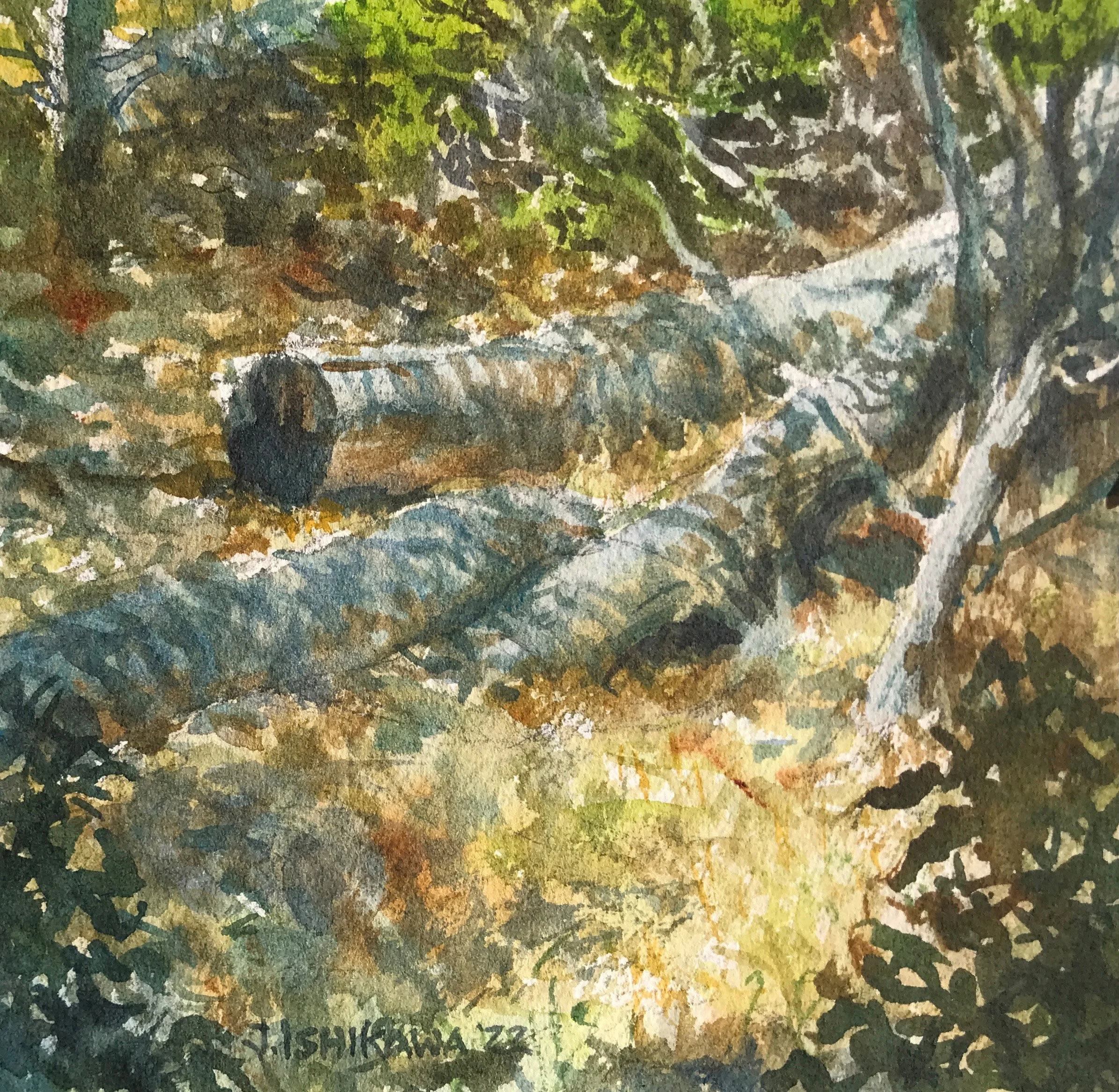 JIshikawa-Dappled.jpg