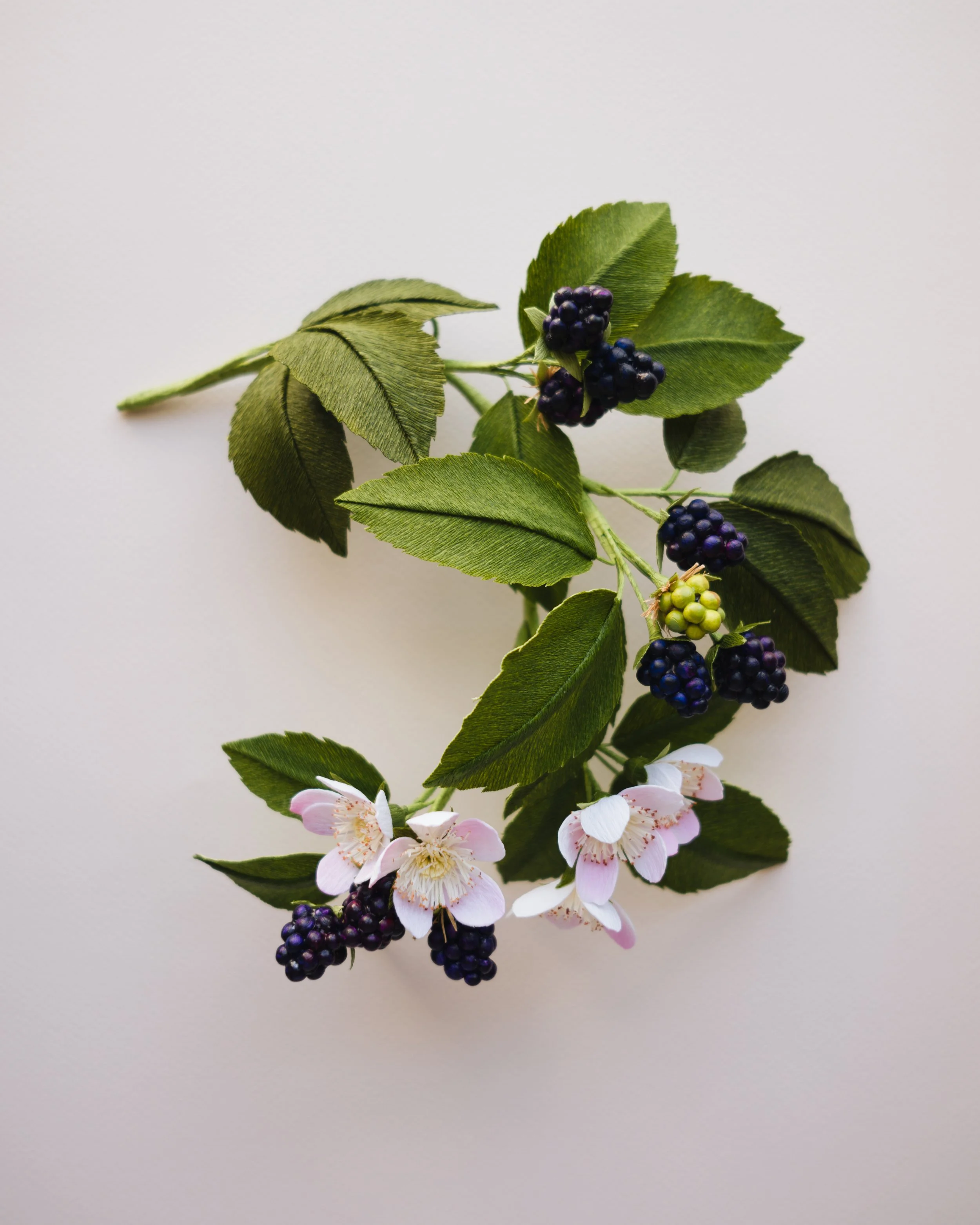 YLiu_Blackberry.jpg