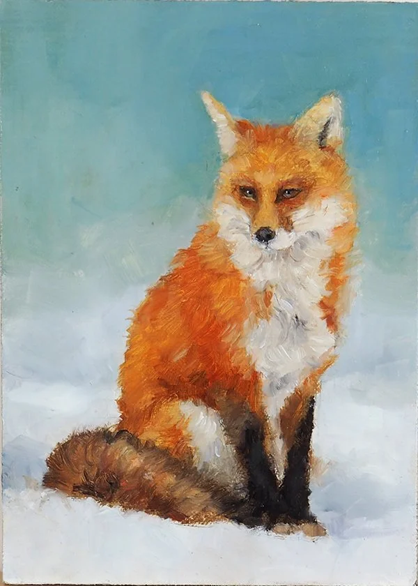 Red fox in a gray day 5x7 A.JPG