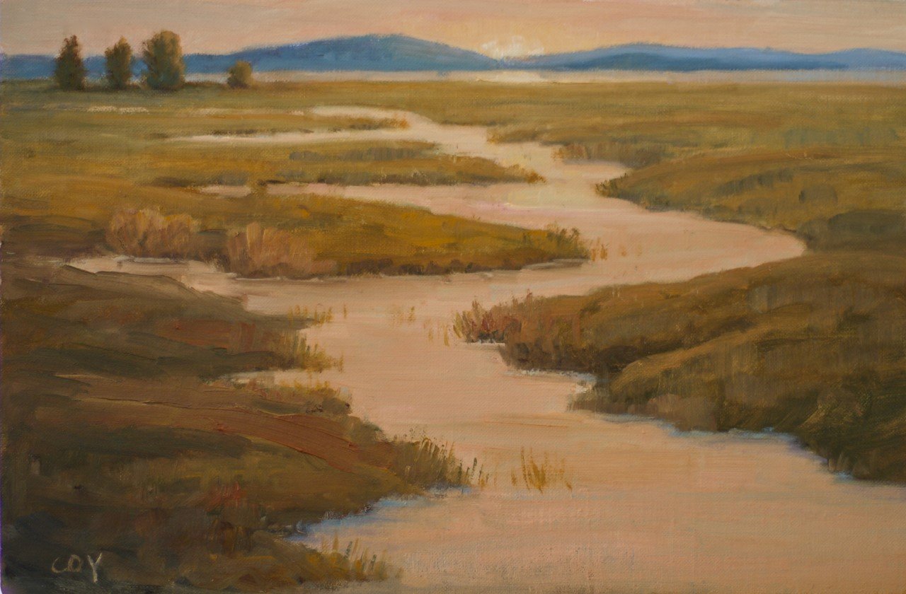 North Marin Wetlands by Christin Coy