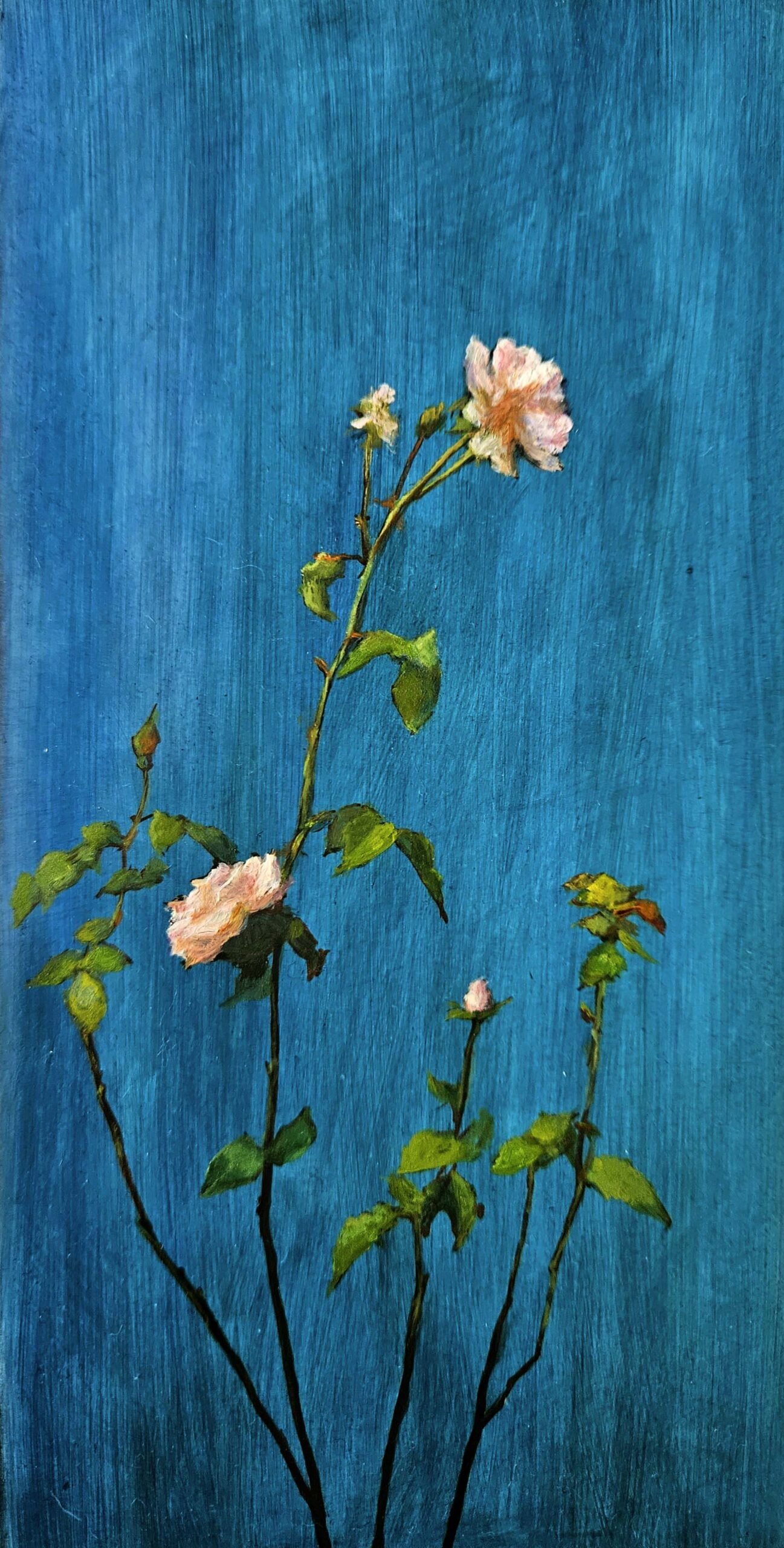 Iconic Roses by Qing Miao
