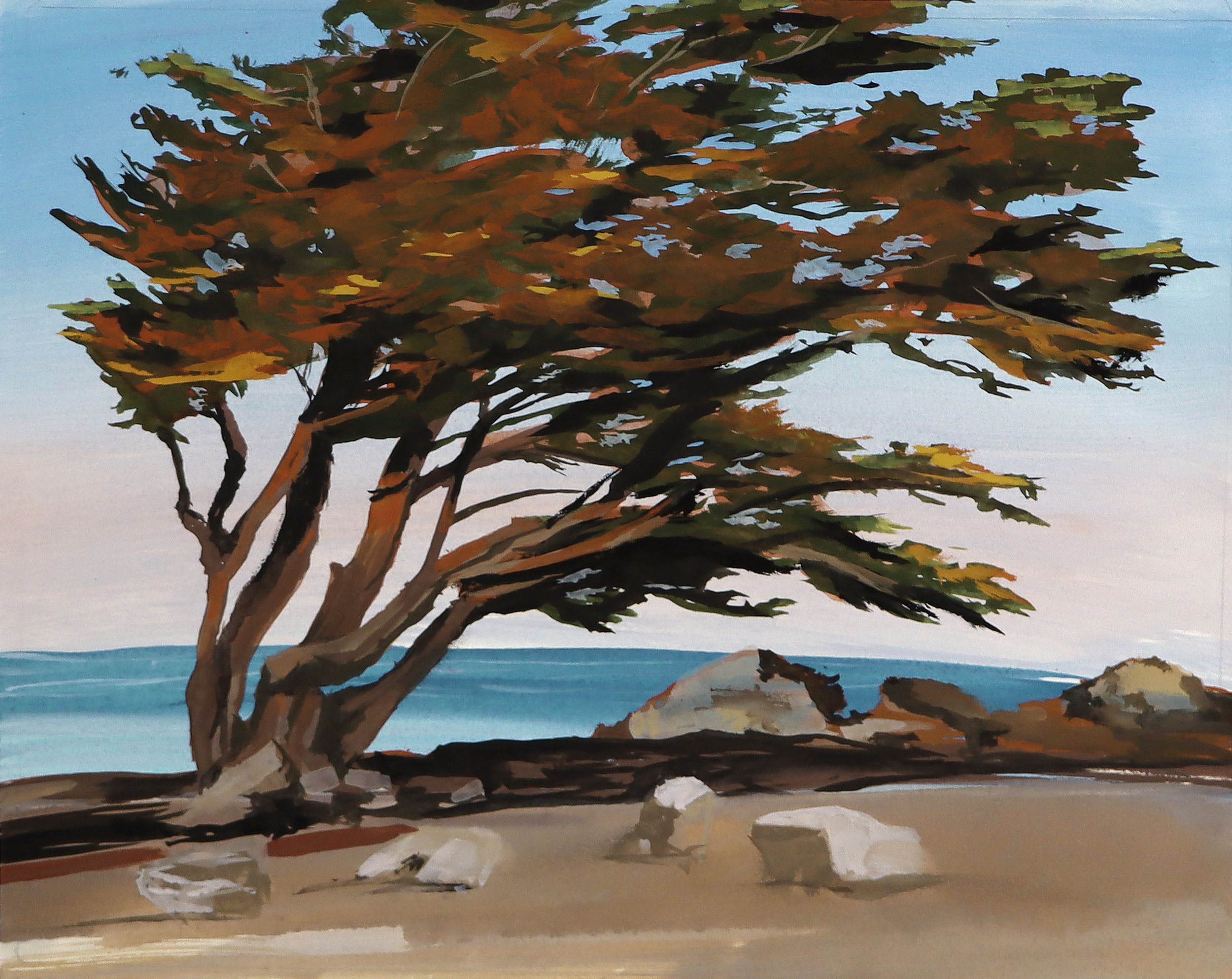Pacific Grove Cypress by Stephanie Langley