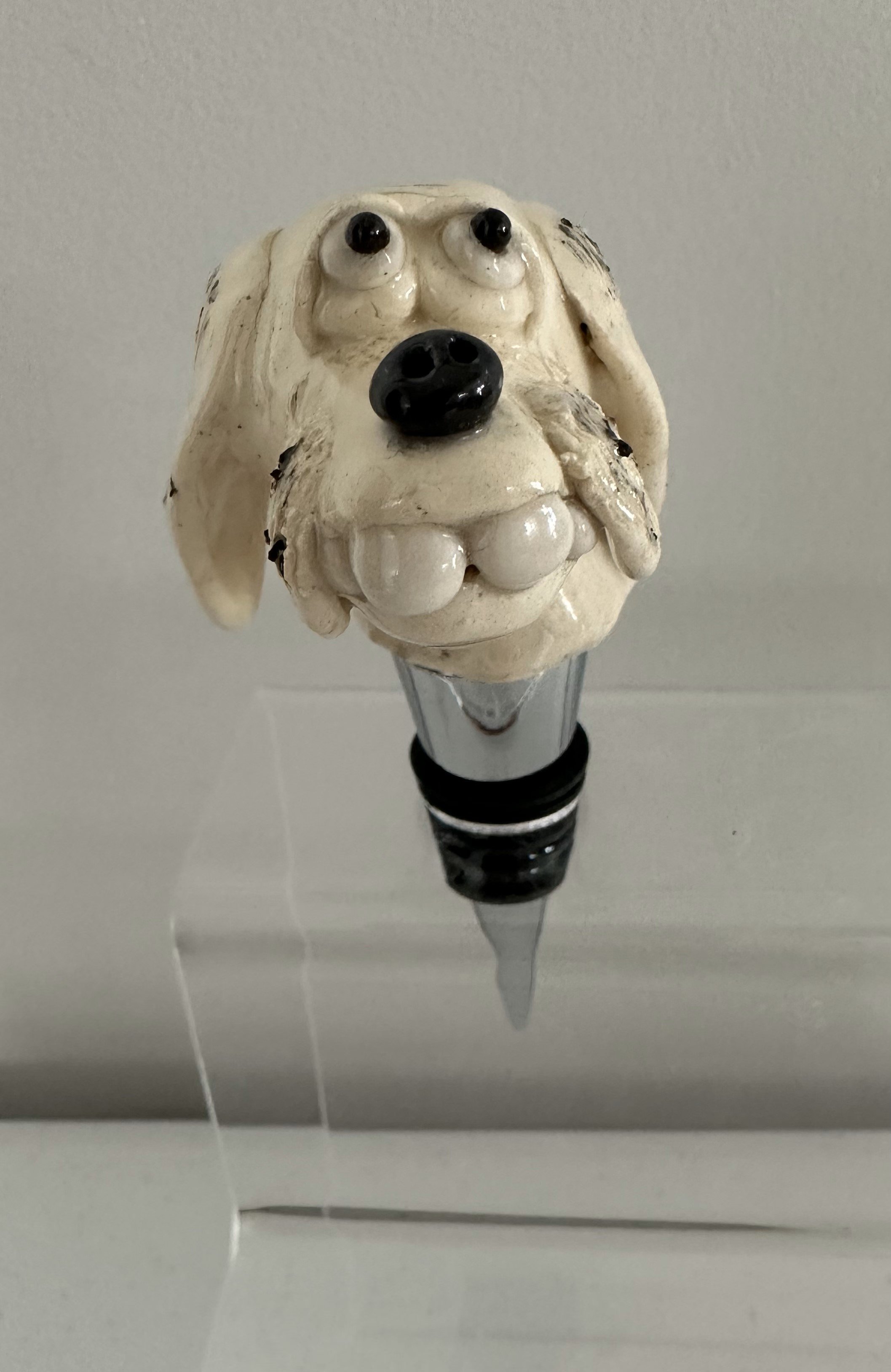 shydog.jpg