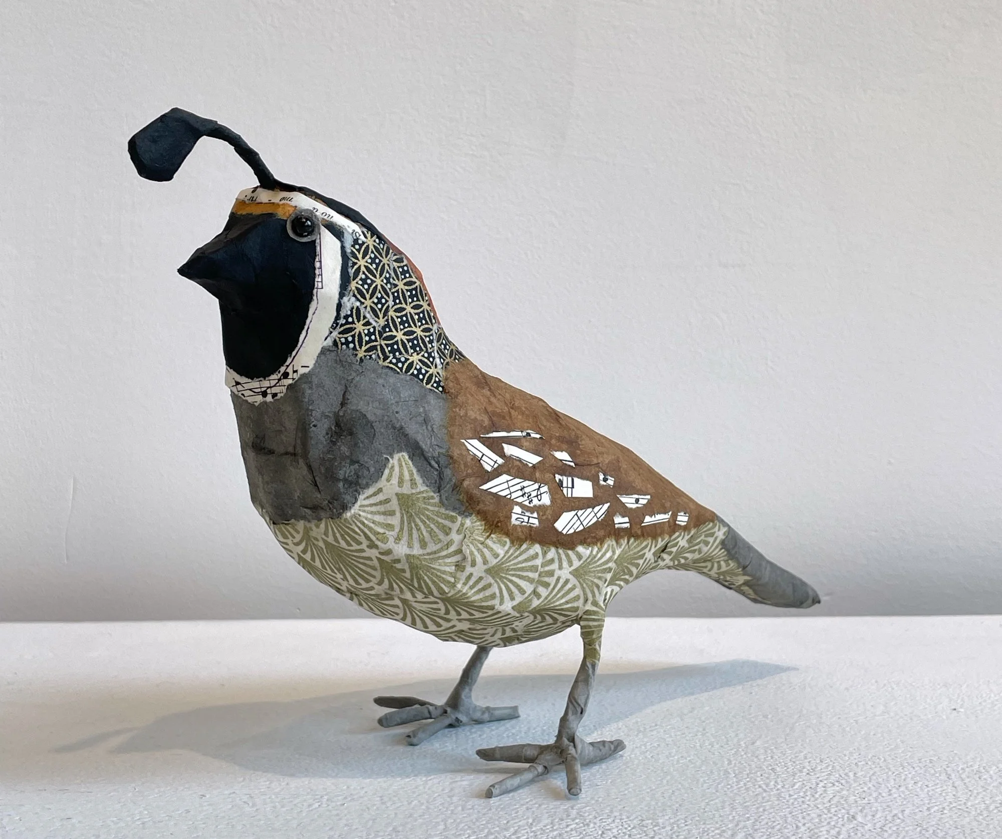 M quail neutral beak a.jpeg