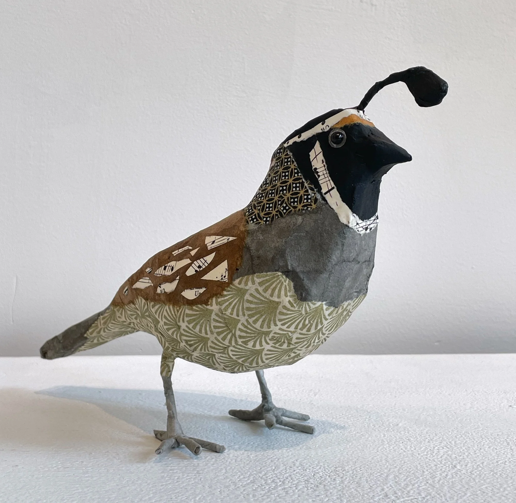 M quail neutral beak b.jpeg