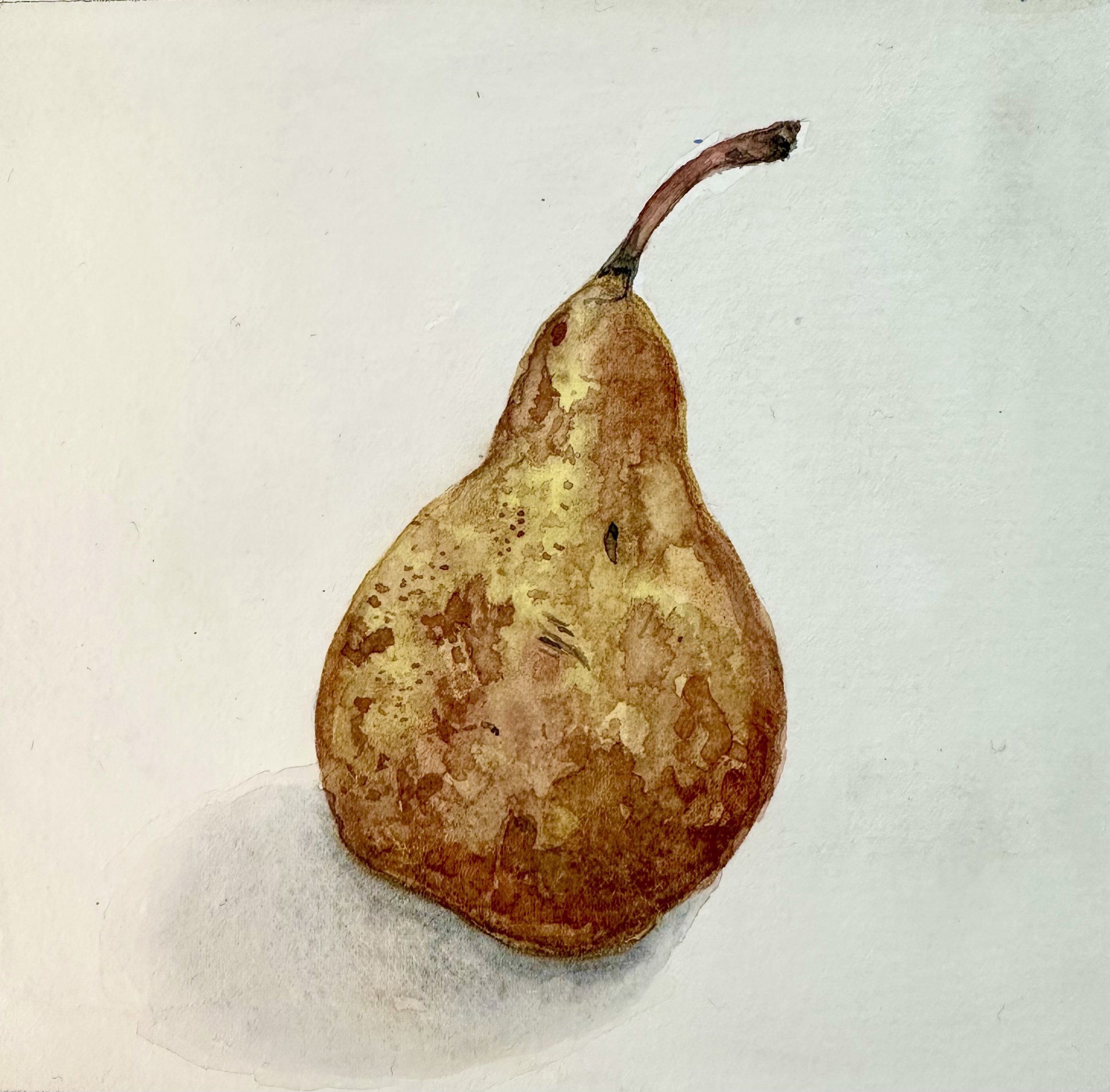 Pear by Kristen Brown
