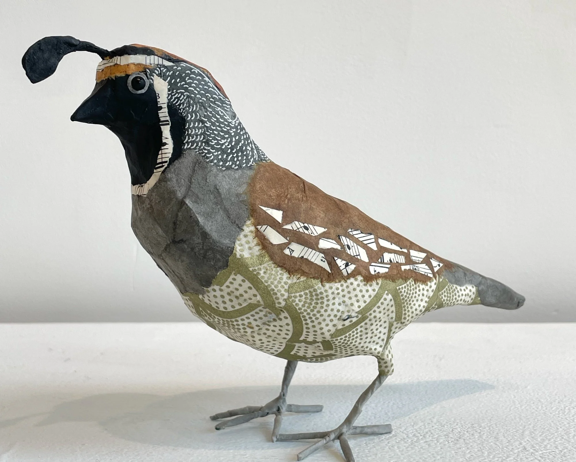 M quail downbeak.jpeg