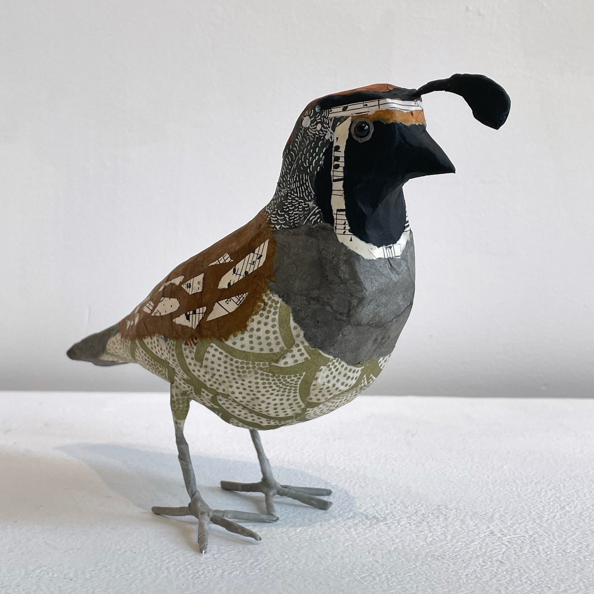 M. Quail downbeak 2.jpeg