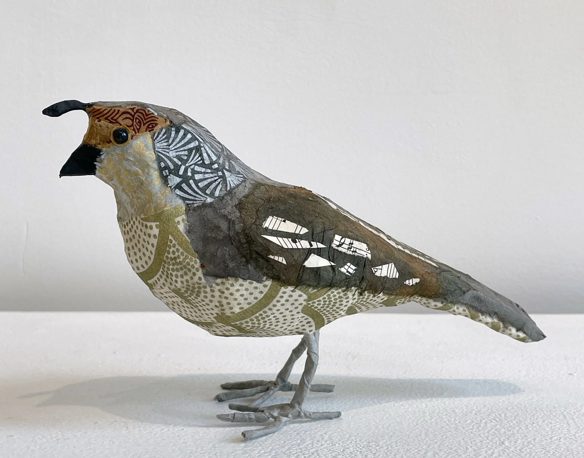 F quail grey head a.jpeg