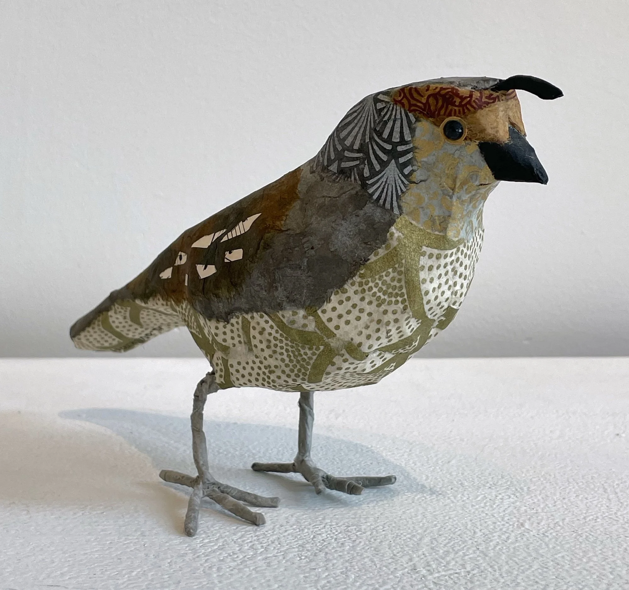 F quail grey head b.jpeg