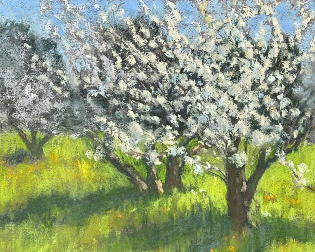 Spring Plums by Erika Perloff