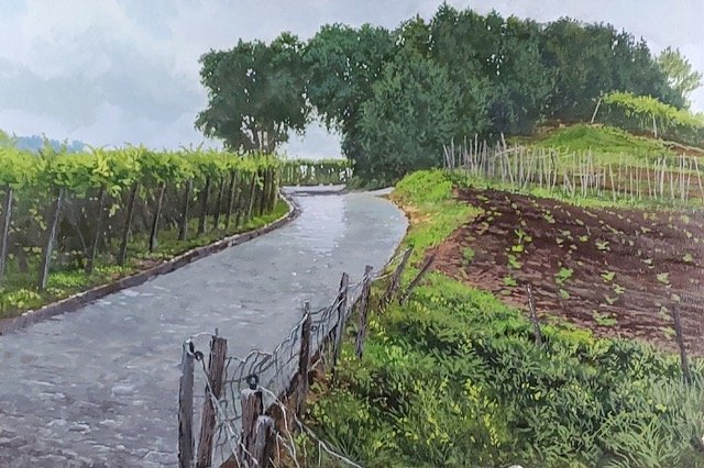 Rainy Day, Txakoli Winery, San Sebastian by Scott Anthony