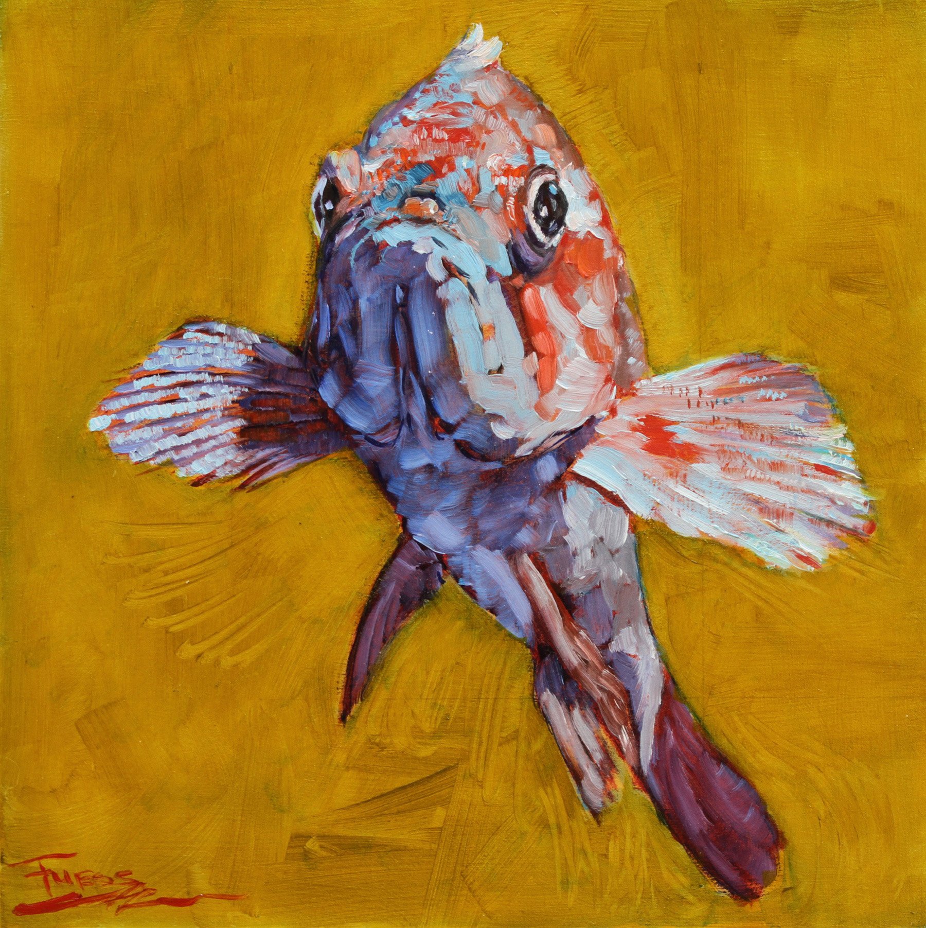 Gold Rockfish by Sally  Fuess