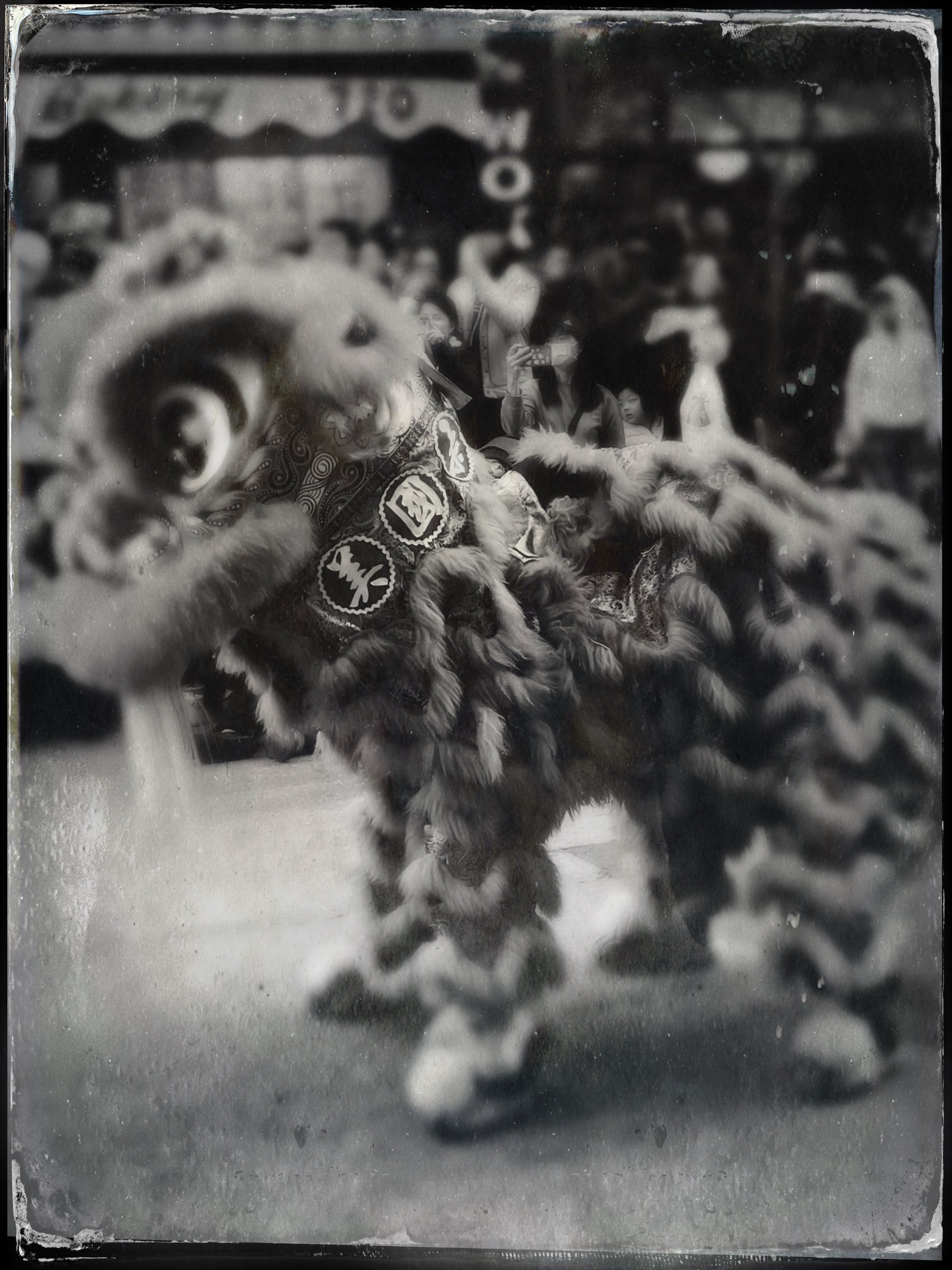 Lion Dancer by Barbara Wyeth