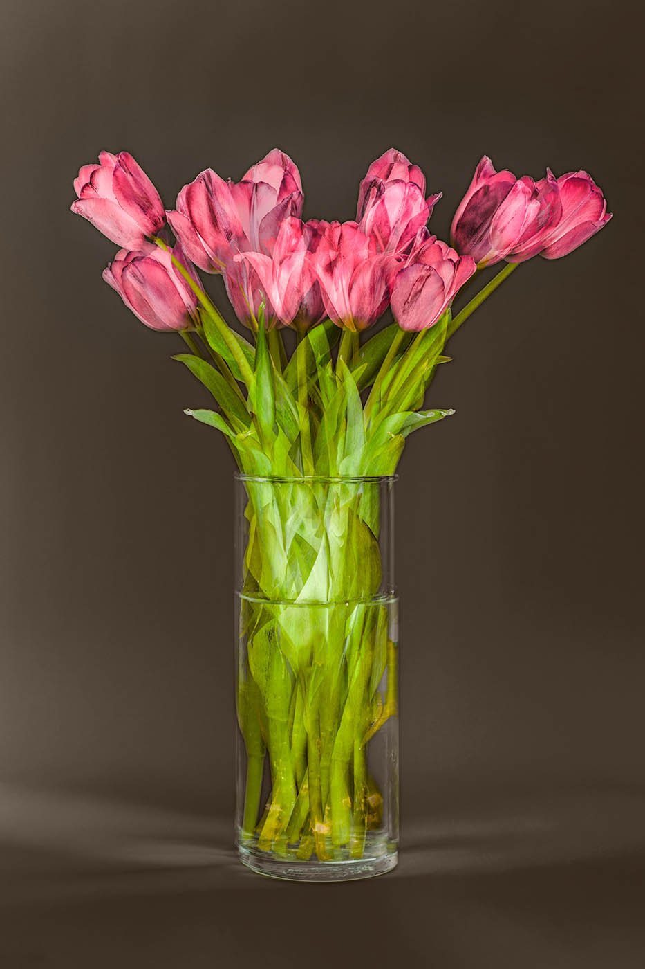 Tulips, Two by Pep Ventosa