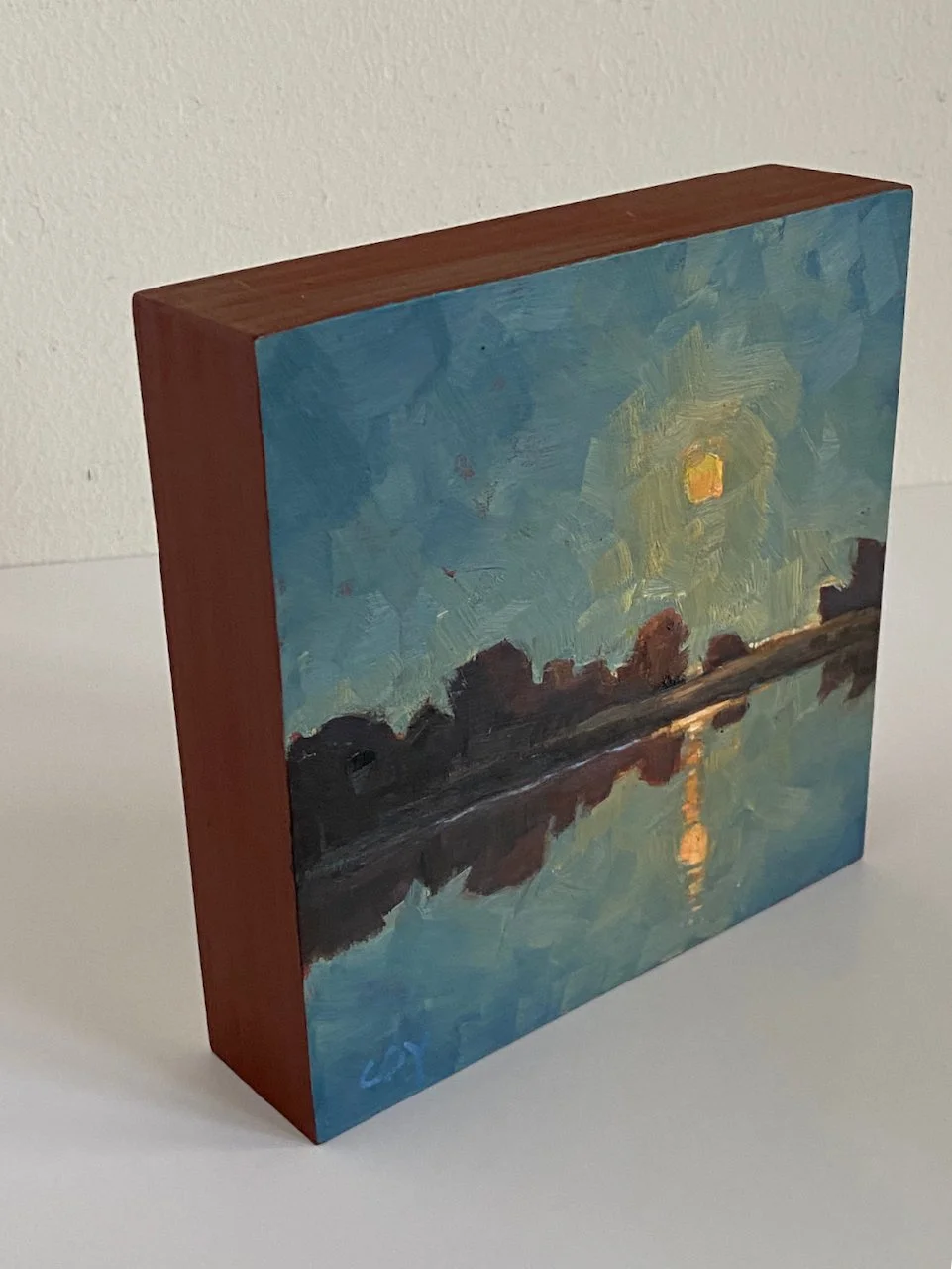 CCoy-Sturgeon Super Moon _6x6_sideview_Coy - 1.jpeg