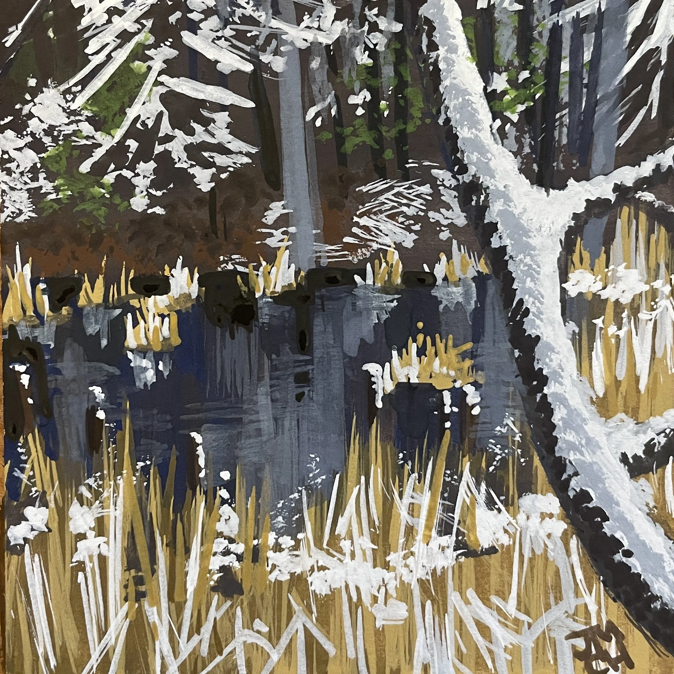 JHobbs-Nonotuck Snow.jpg