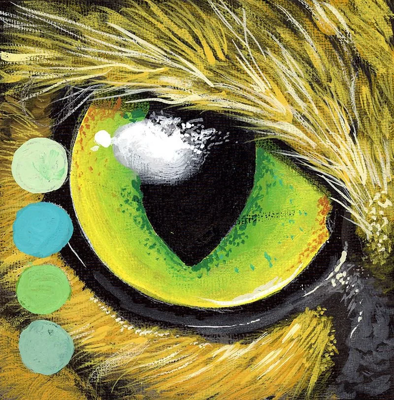 JCoffy-CatEye.jpg