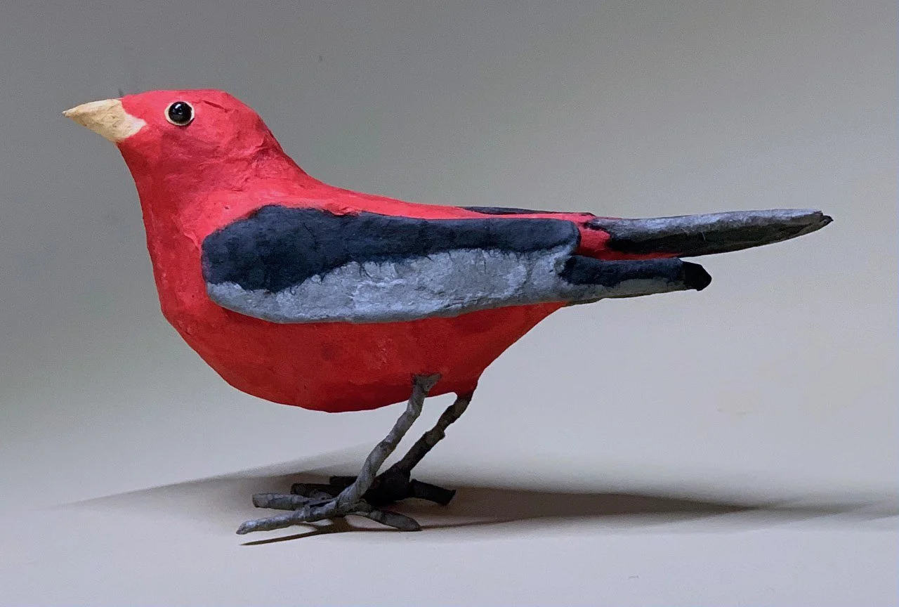 NOverton-Scarlet Tanager.jpeg