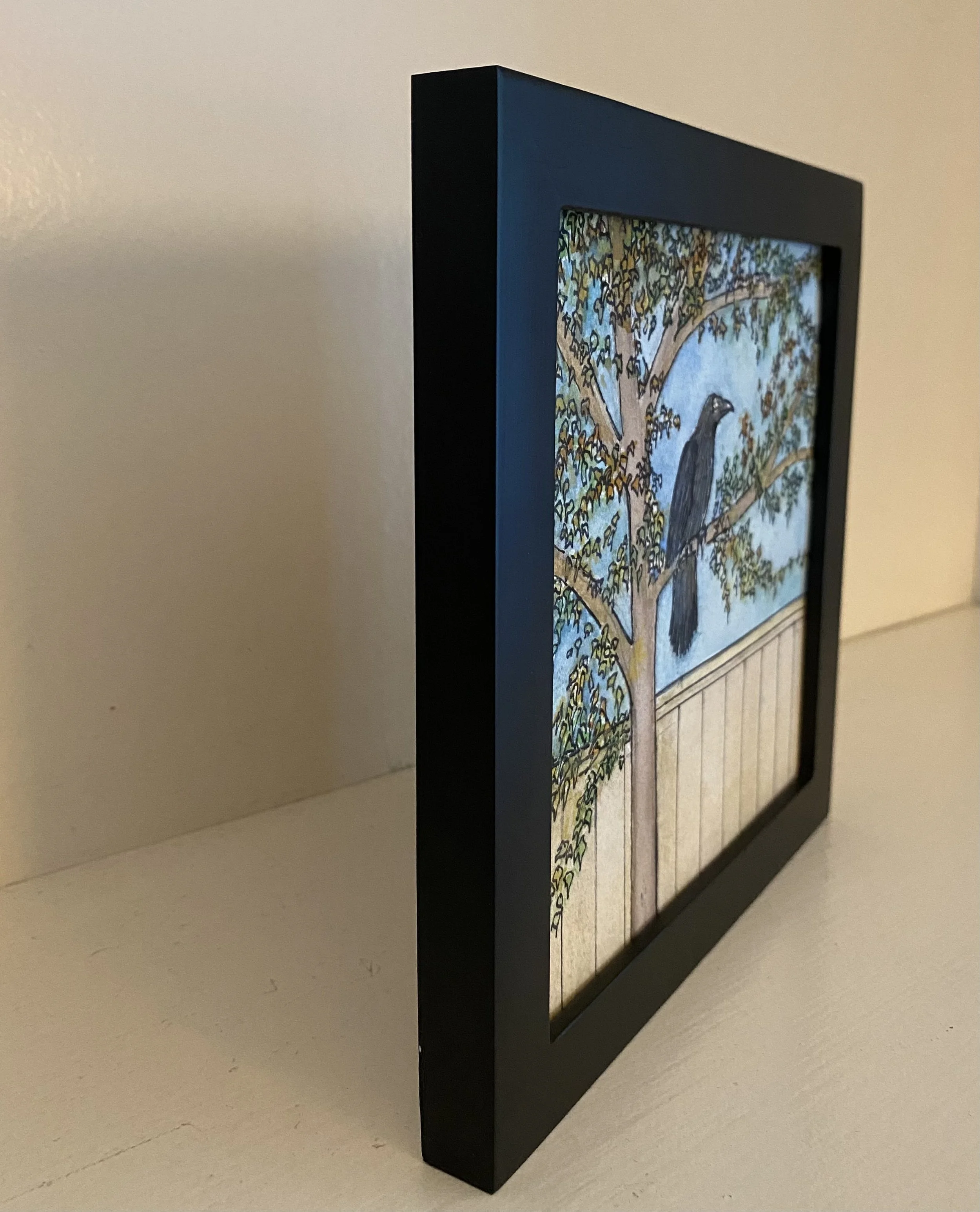 DTisone-BackFence side.jpeg