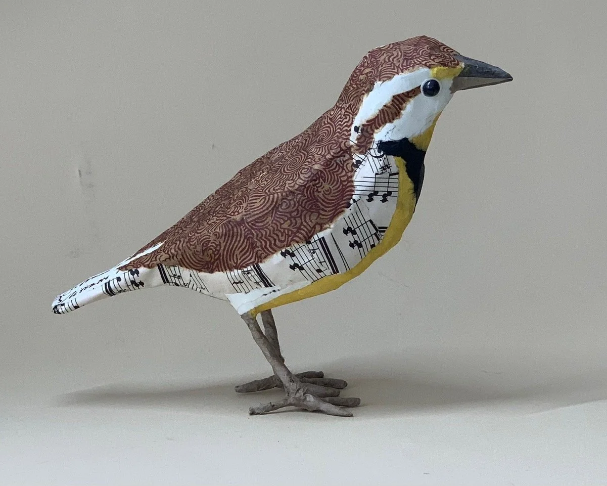 NOverton-Meadowlark $195.jpeg