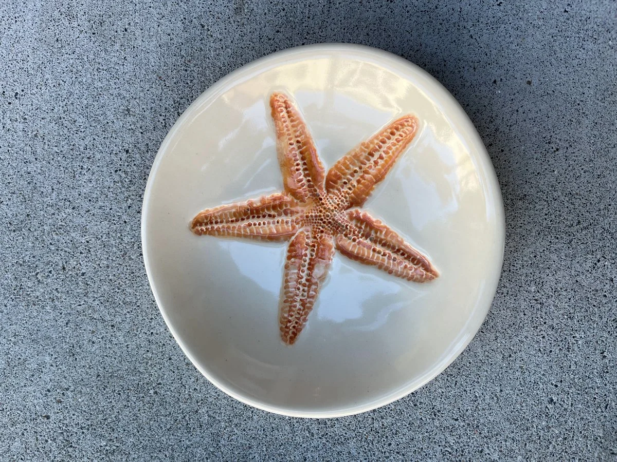 wLNewlin-orangestarfish.jpg