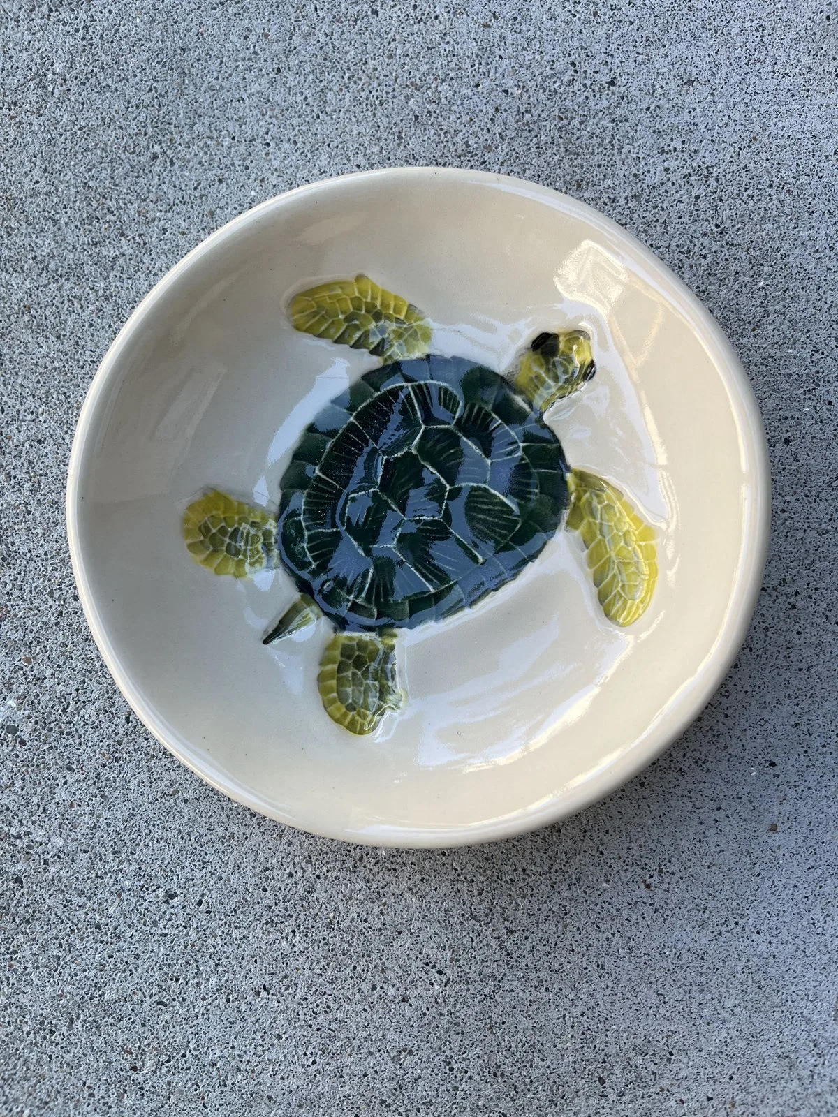 wLNewlin-turtle1.jpg