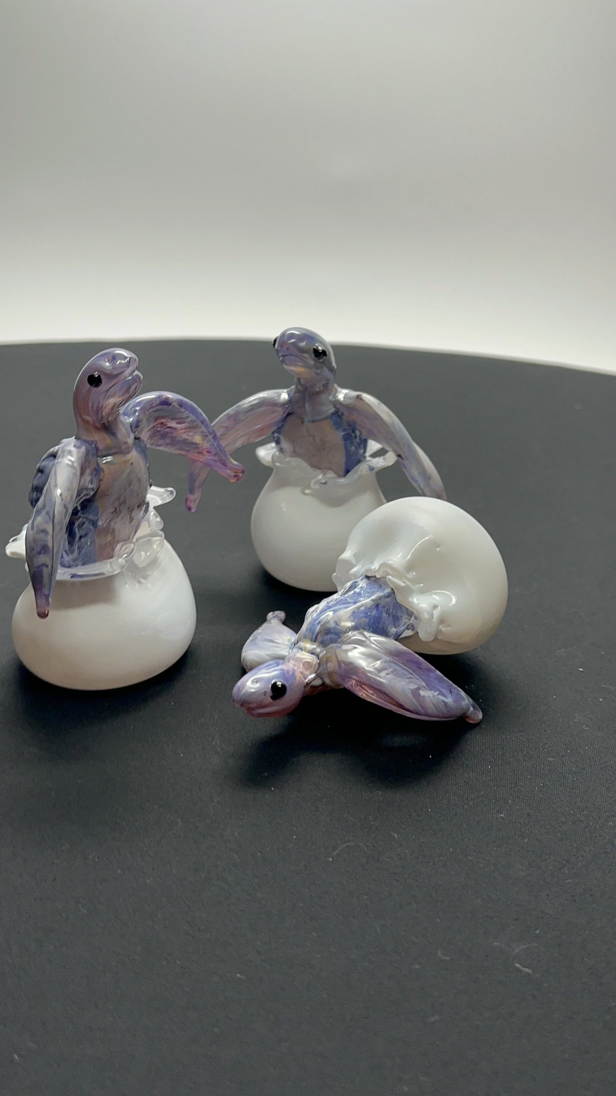 CNicely-hatchlings2.jpg