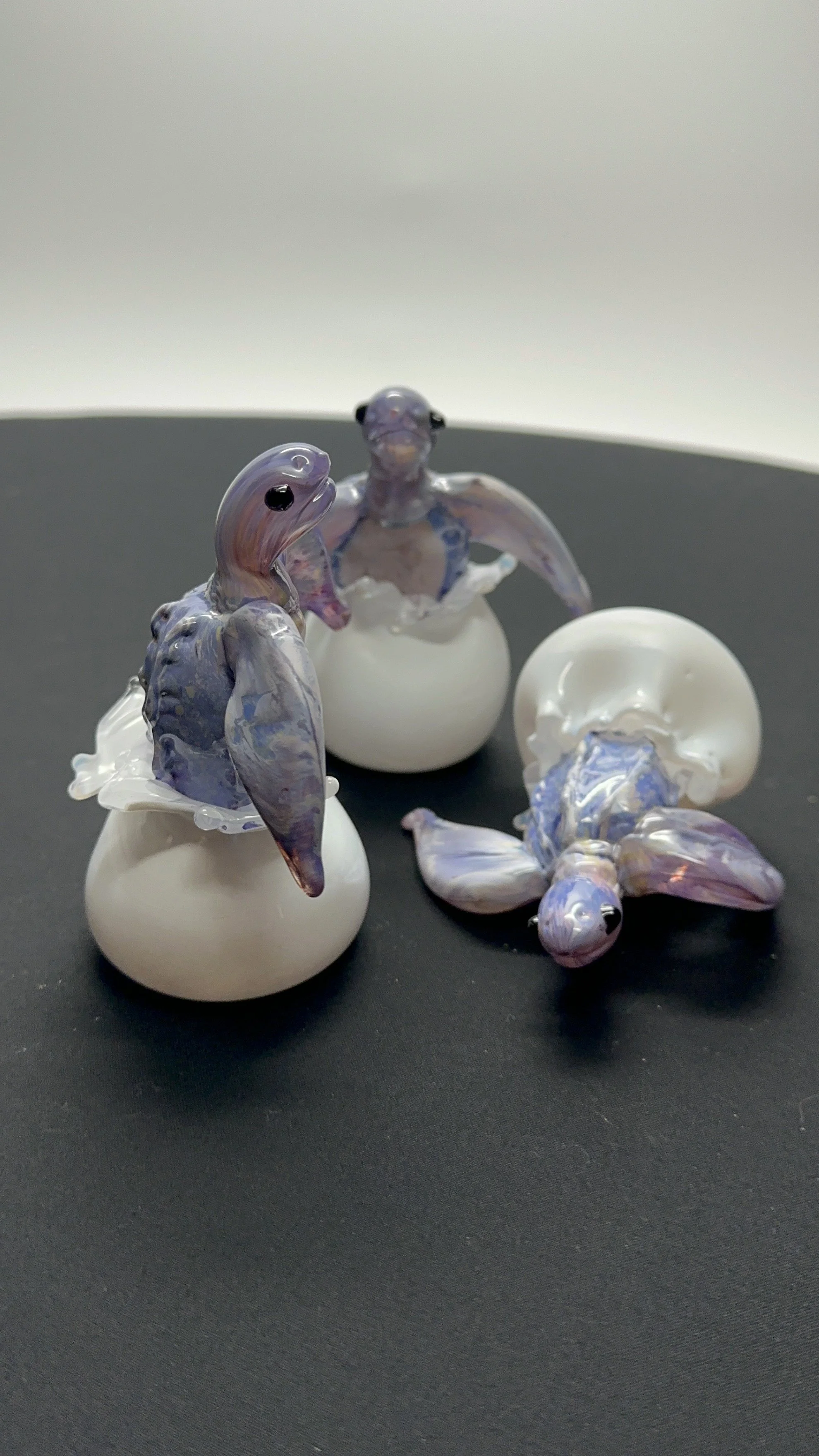 CNicely-hatchlings3.jpg