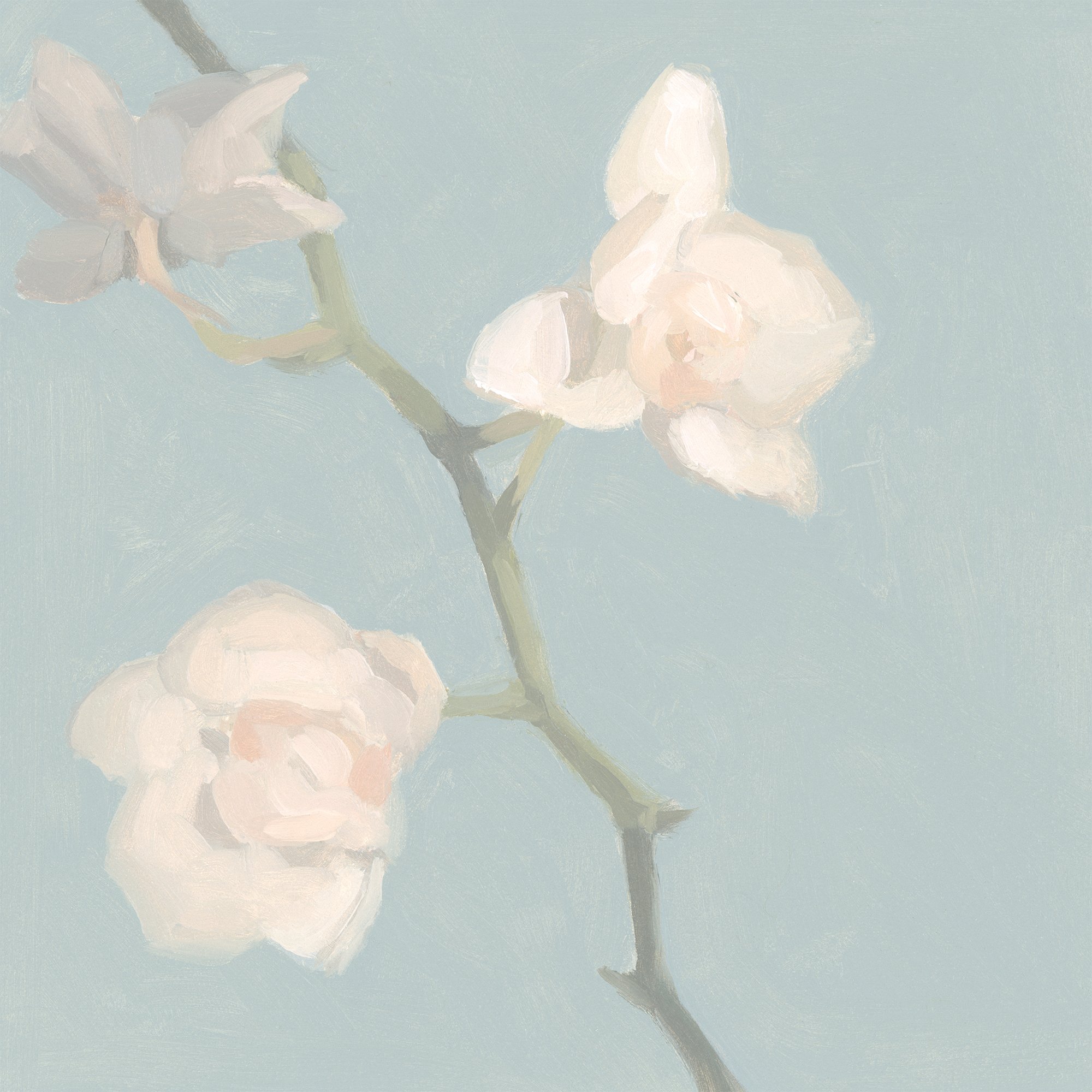 EMorello_orchids2_6x6_oil.jpg