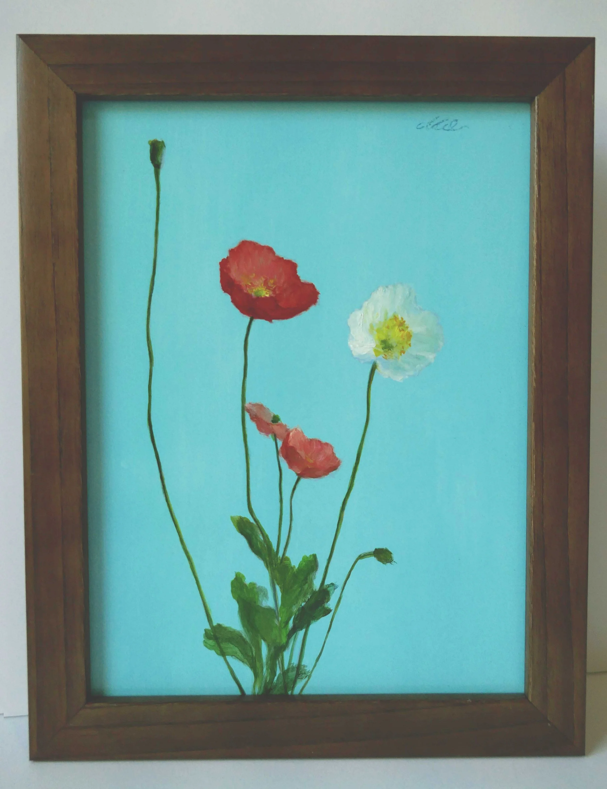 QMiao-IcelandPoppy_Qing_Miao_Frame_pic.jpg