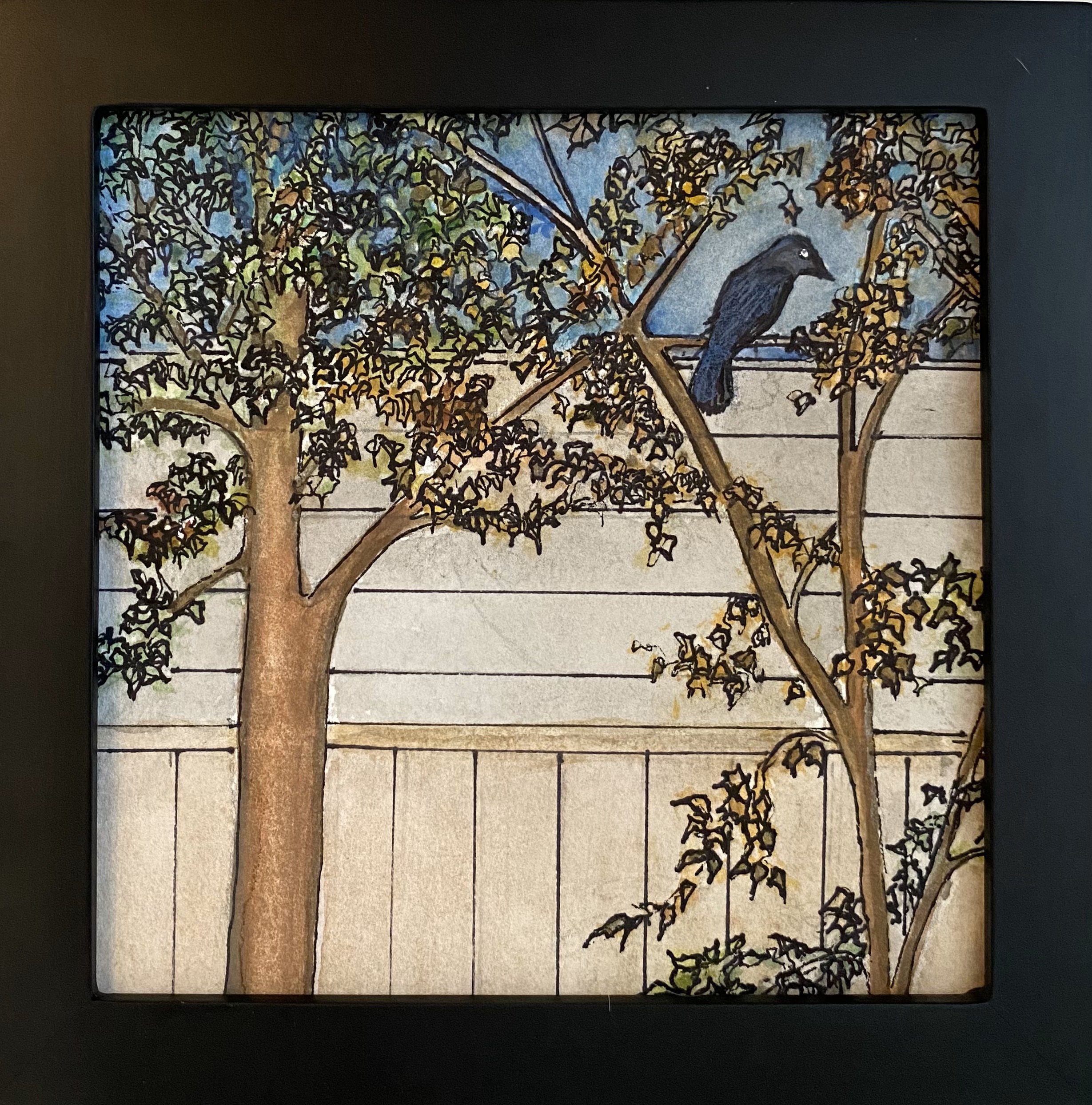 DTisone-Backyard.jpg