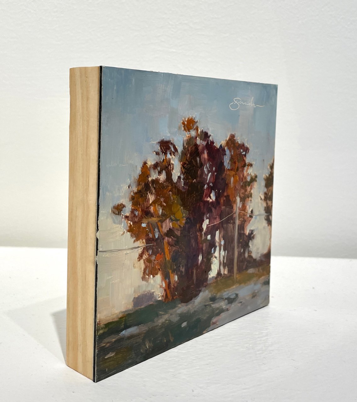 BSmith-Eucalyptus-side.jpg