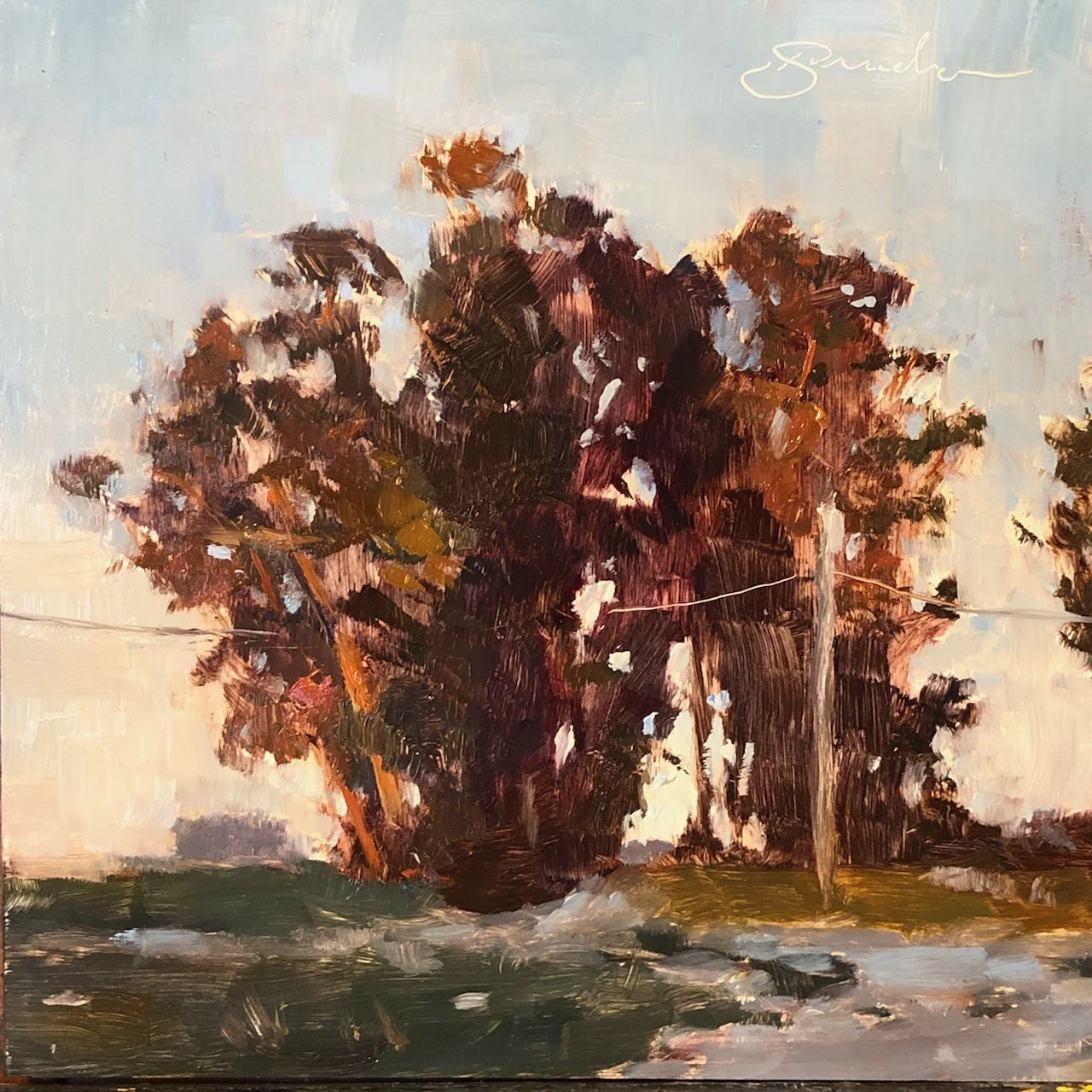 BSmith-trees.jpg