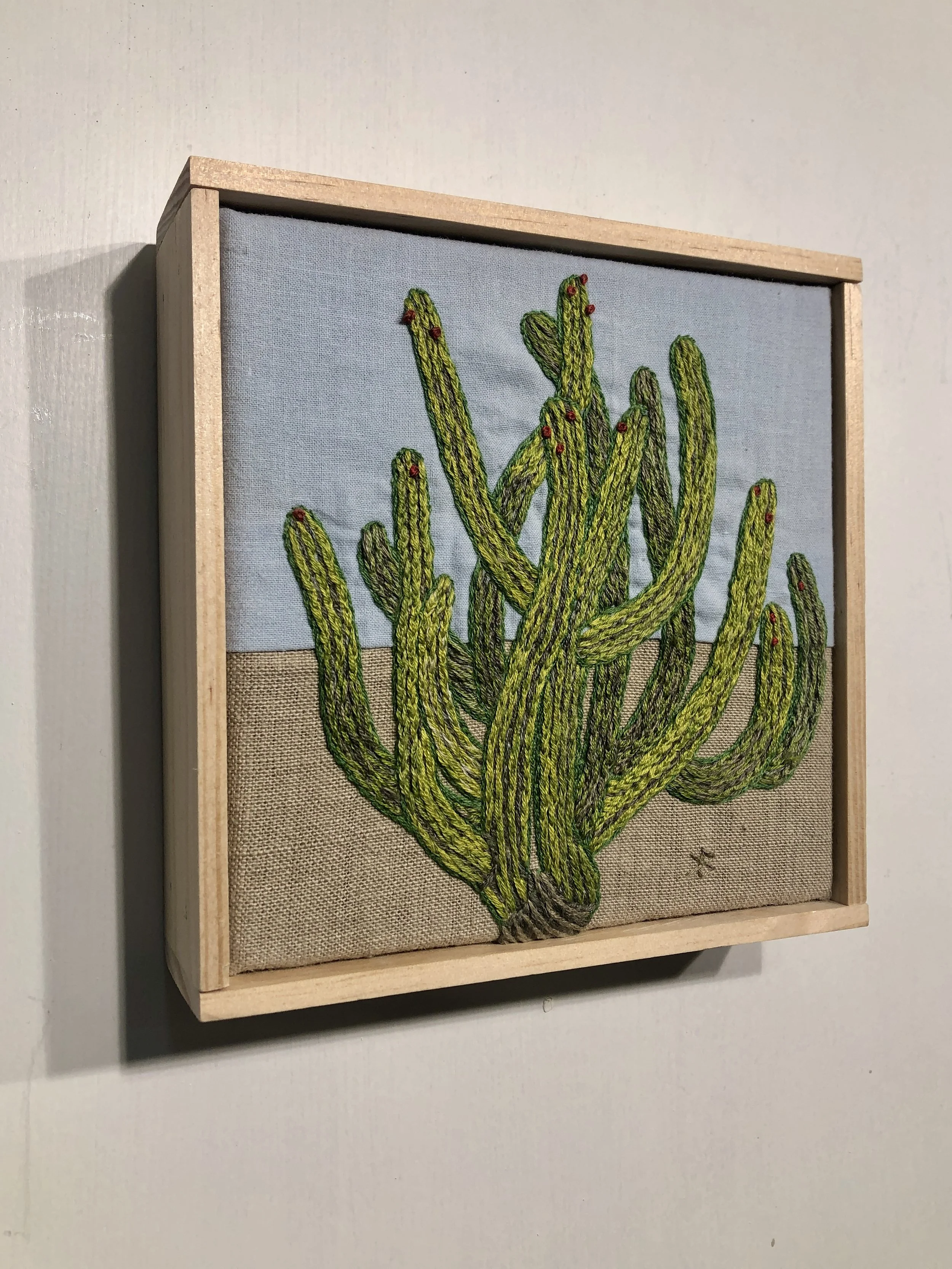 KBarrengos,CaboCactus,6x6in.jpeg